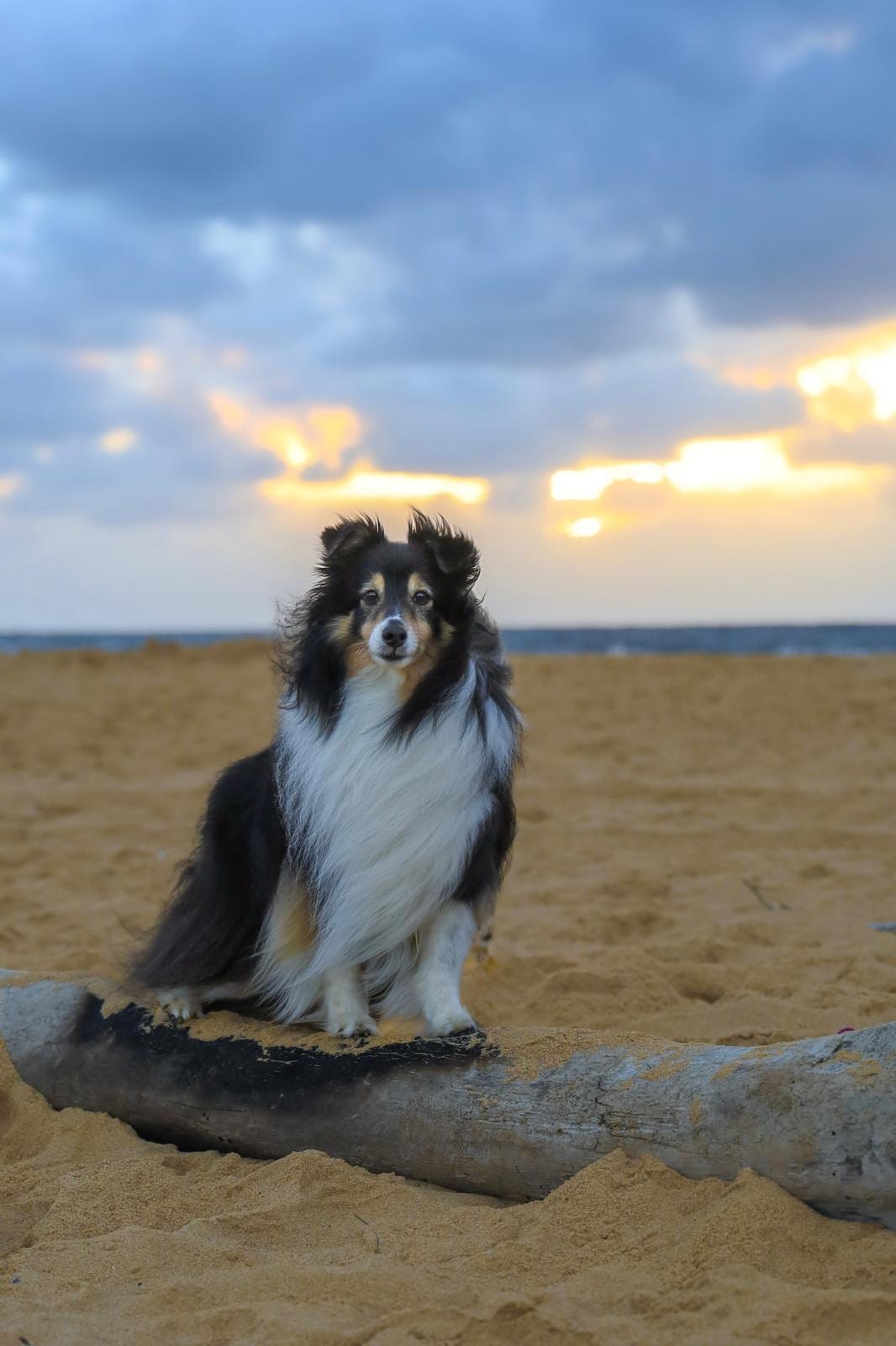 Proximity to beach = effortless & beautiful sunrise photos! 