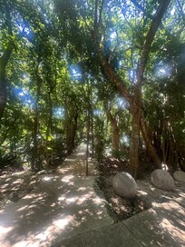 So much nature your in
