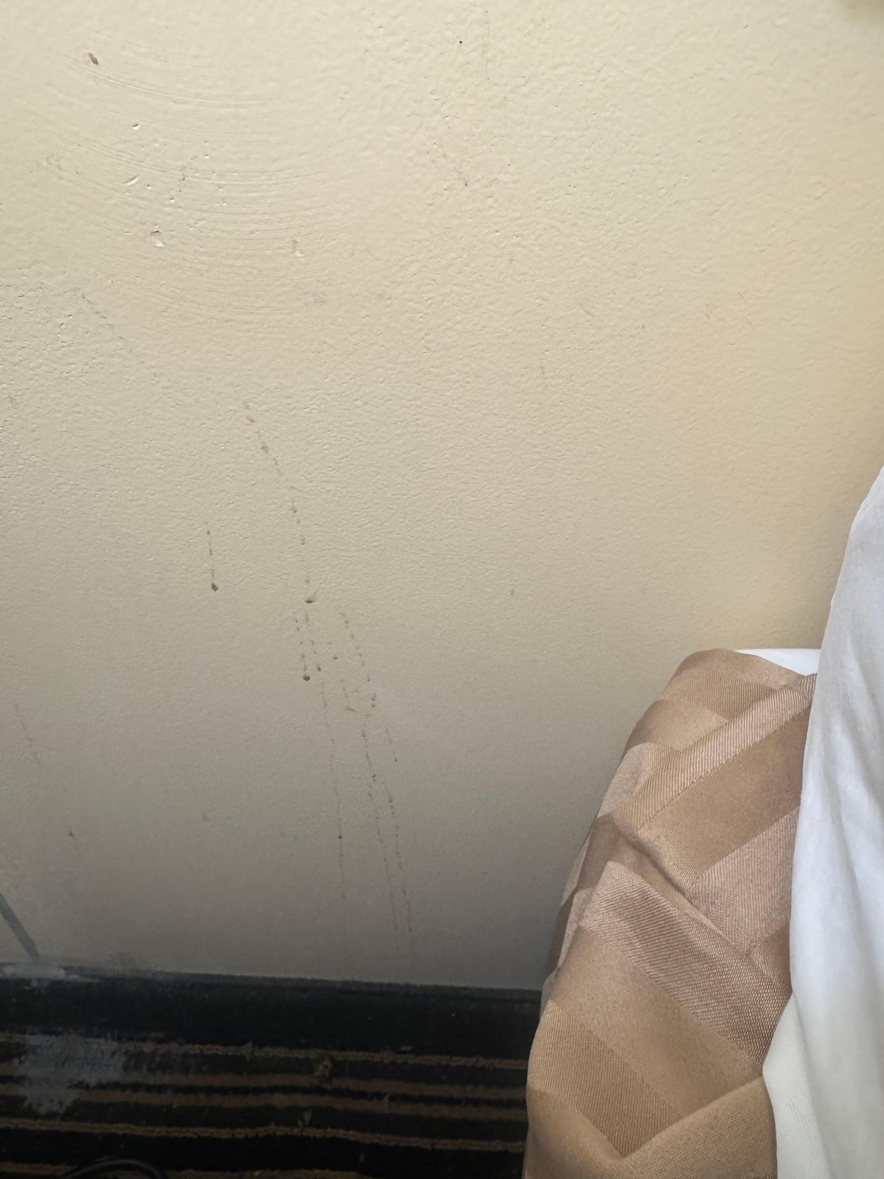 Brown splashes on walls