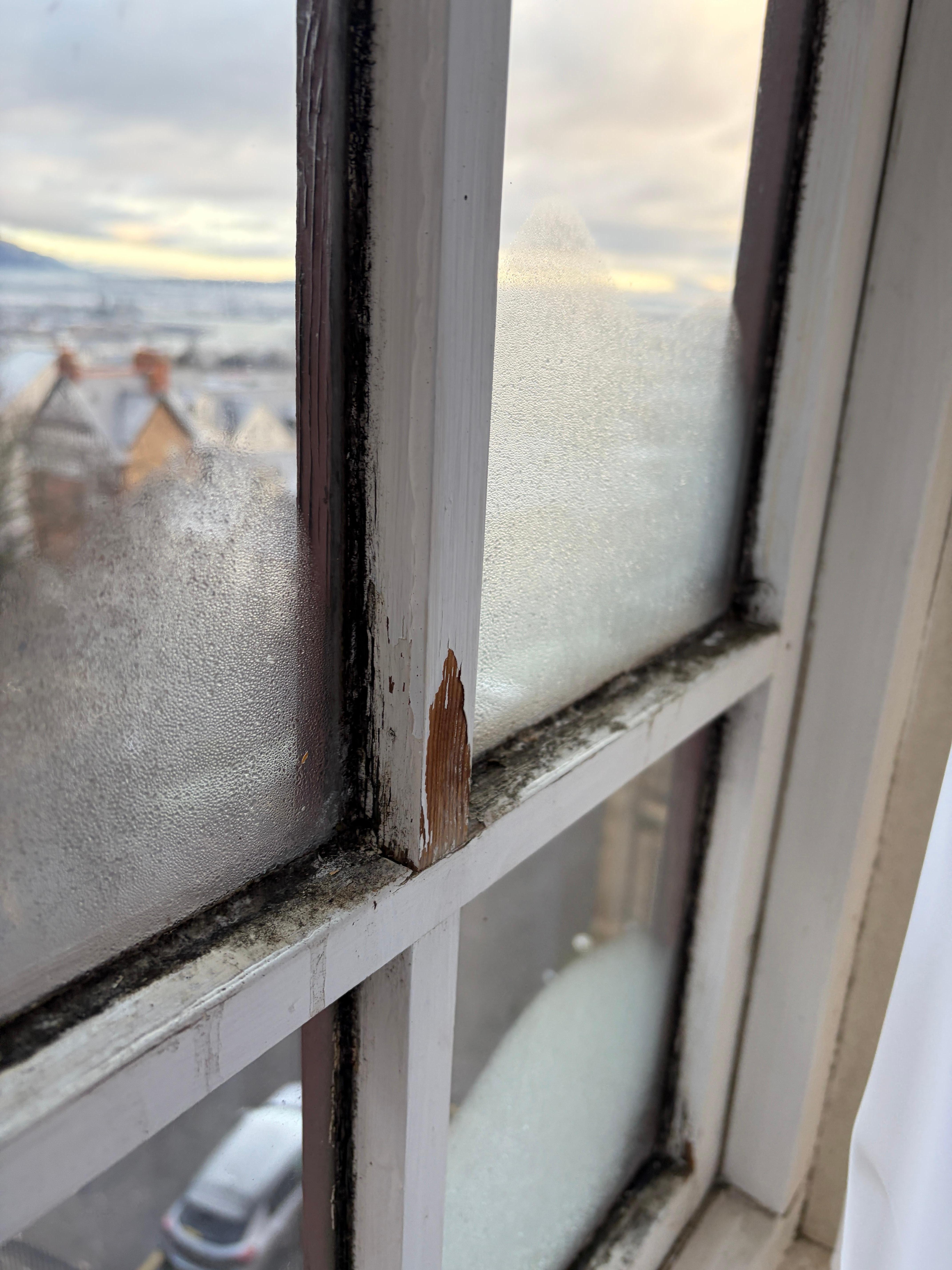 Those mouldy windows again