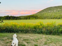Sunset Colours with raspberries in foreground