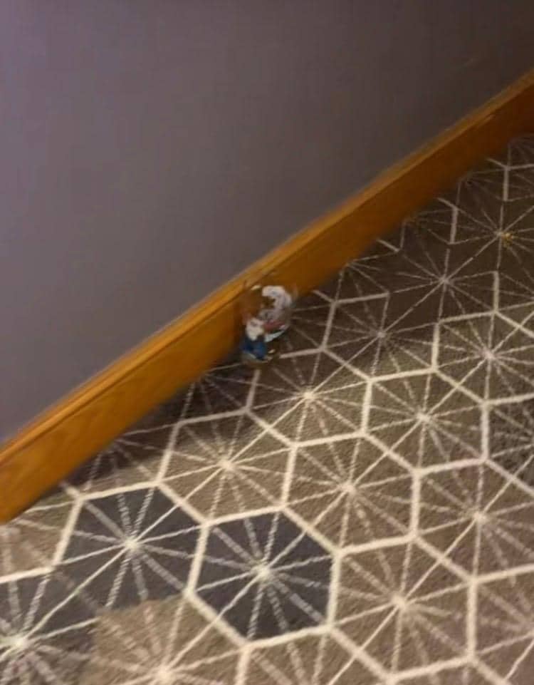 Pint glass from the night before 