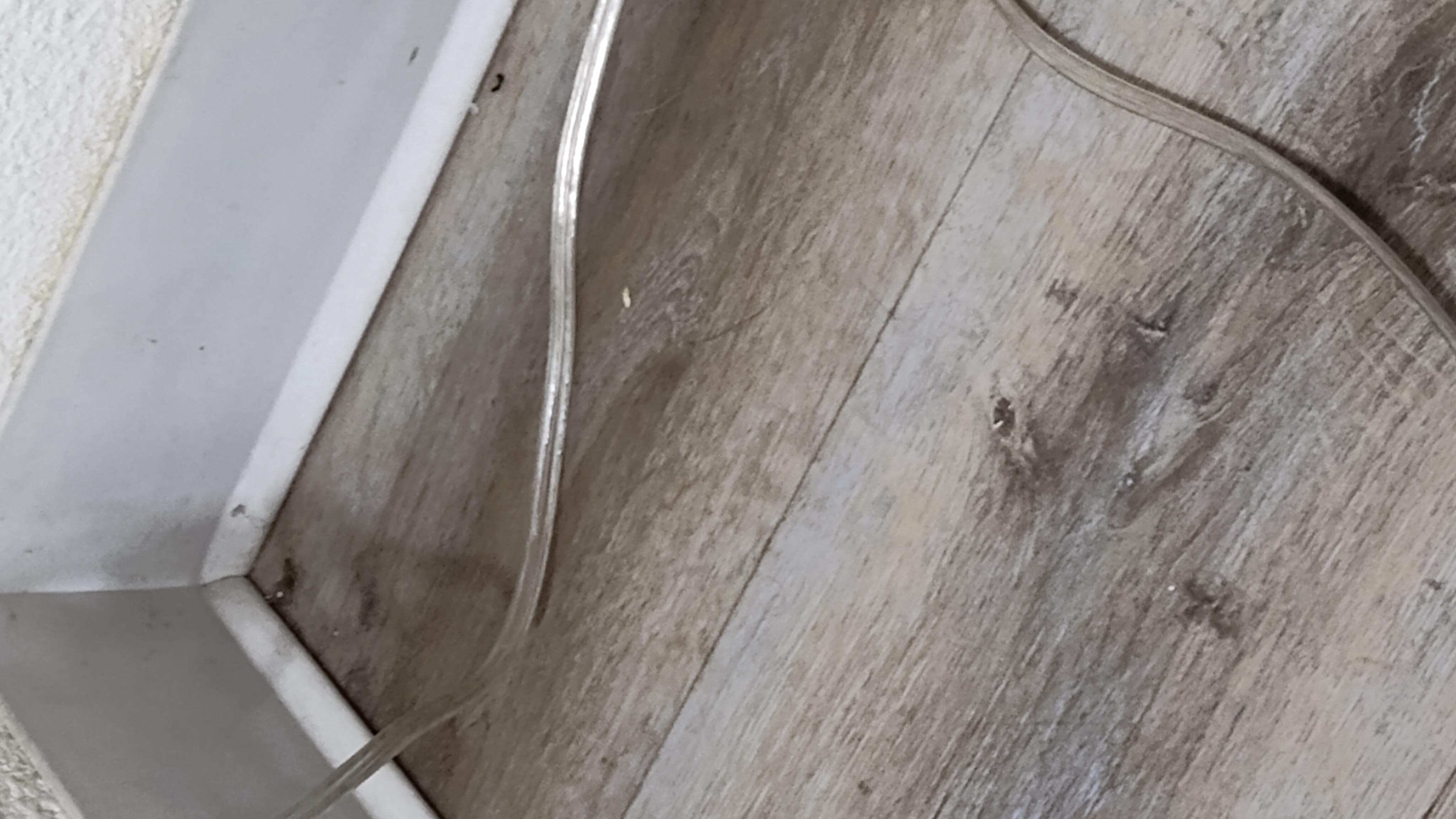 Bedroom floor