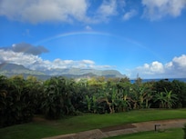 Views of the coast from the room!