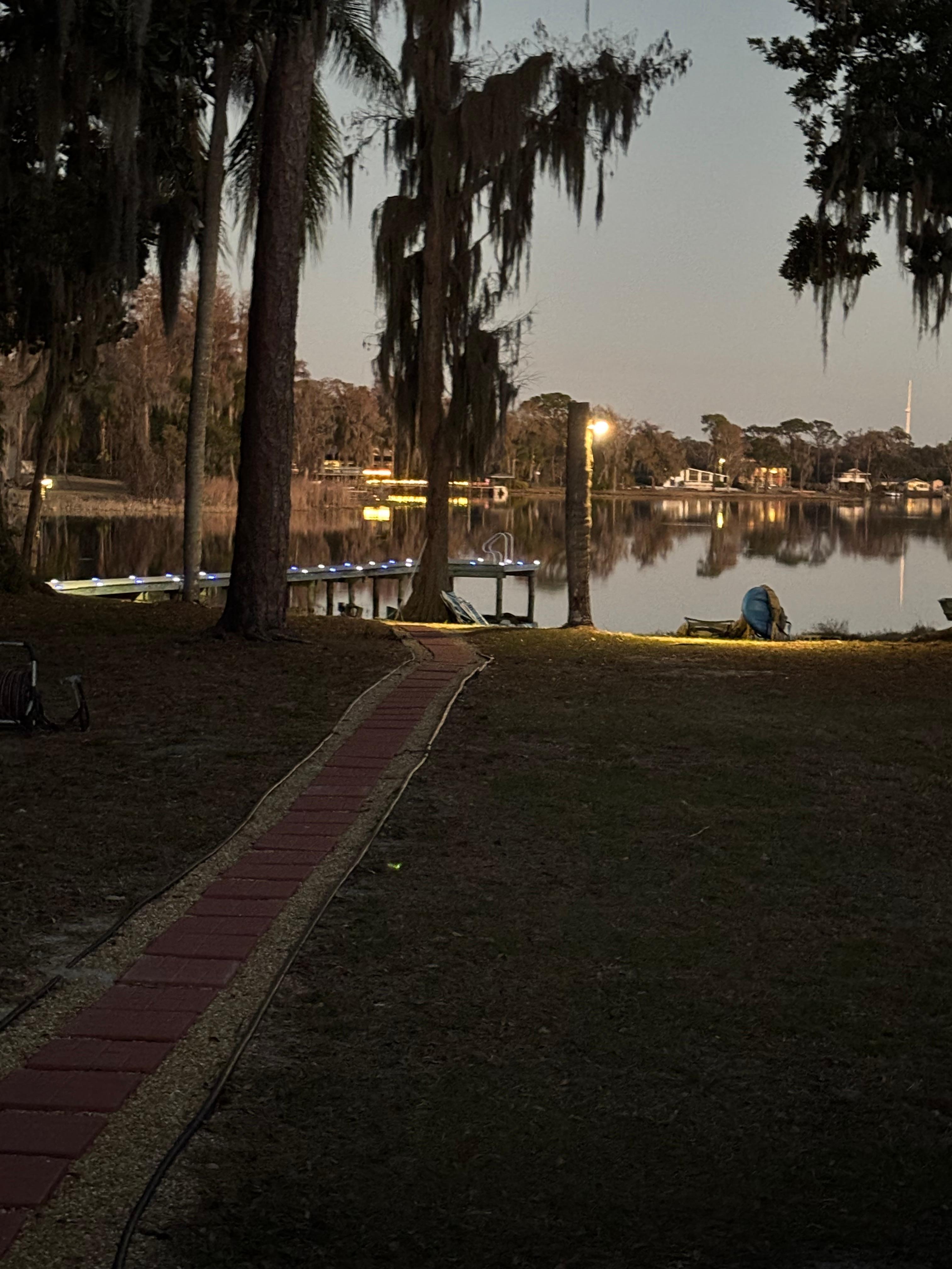 Fishing in the evening 
