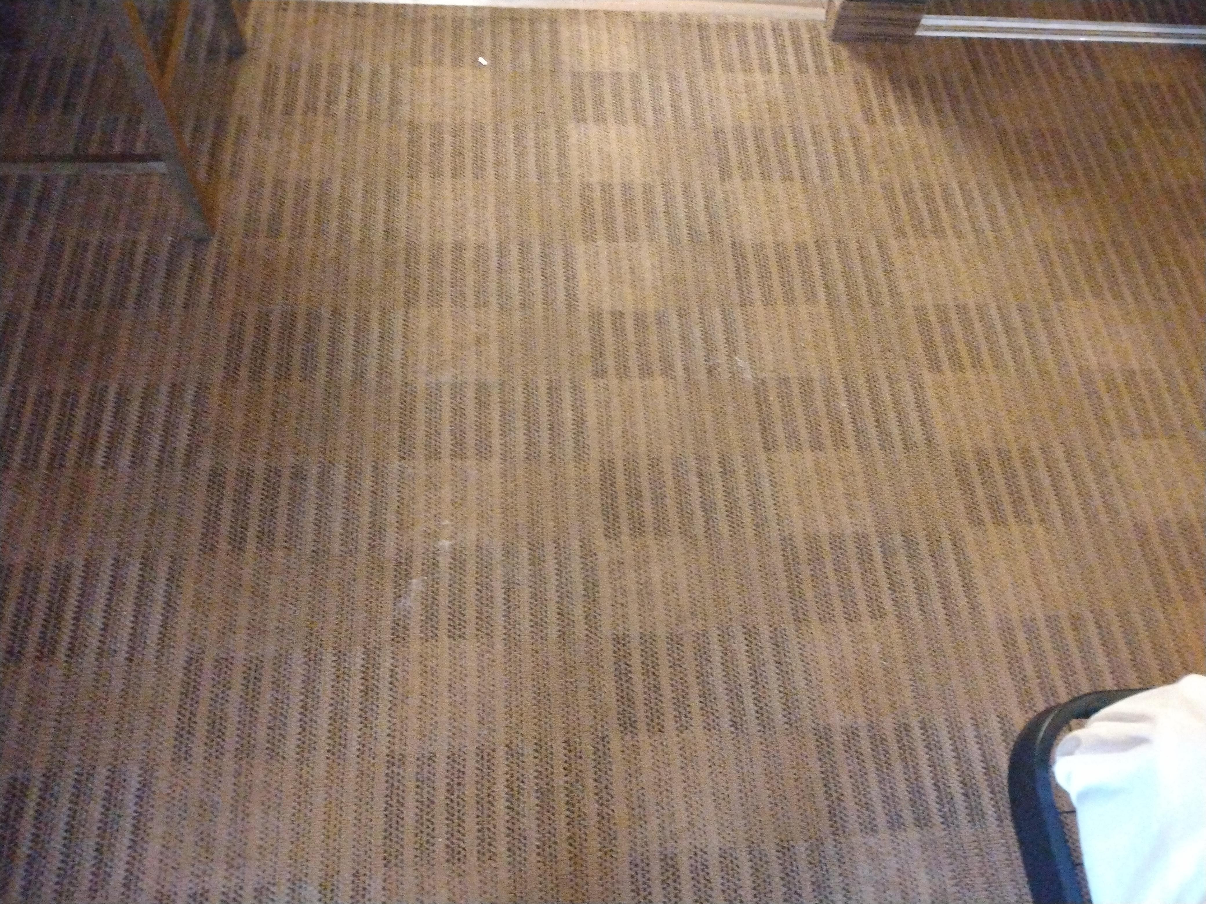 Fur/hair on carpeted floor