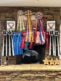We had a successful show!