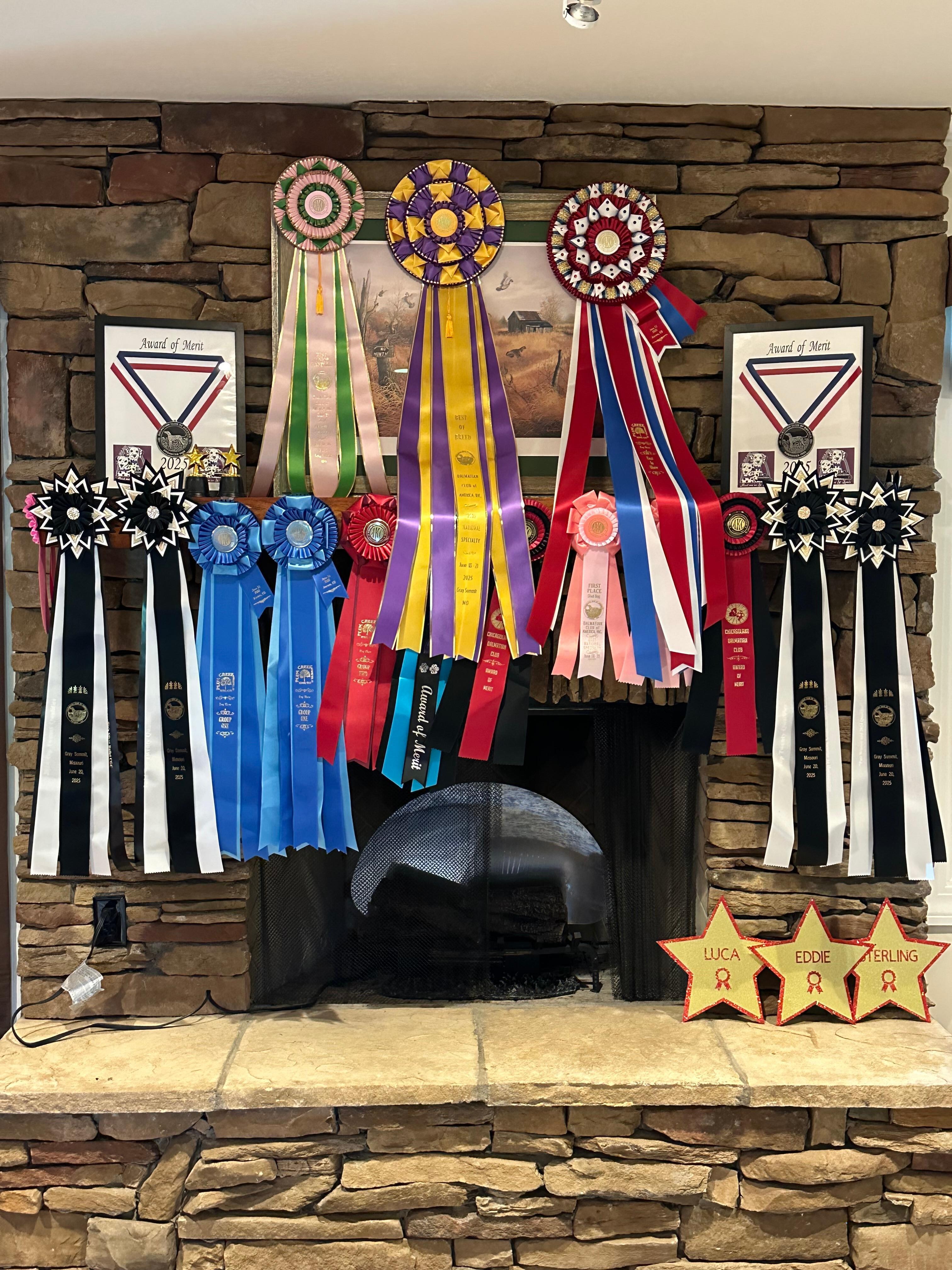 We had a successful show!