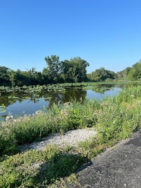 There is a pond with Lilly pads in the back. There was a picnic table and some chairs to sit and enjoy the view.
