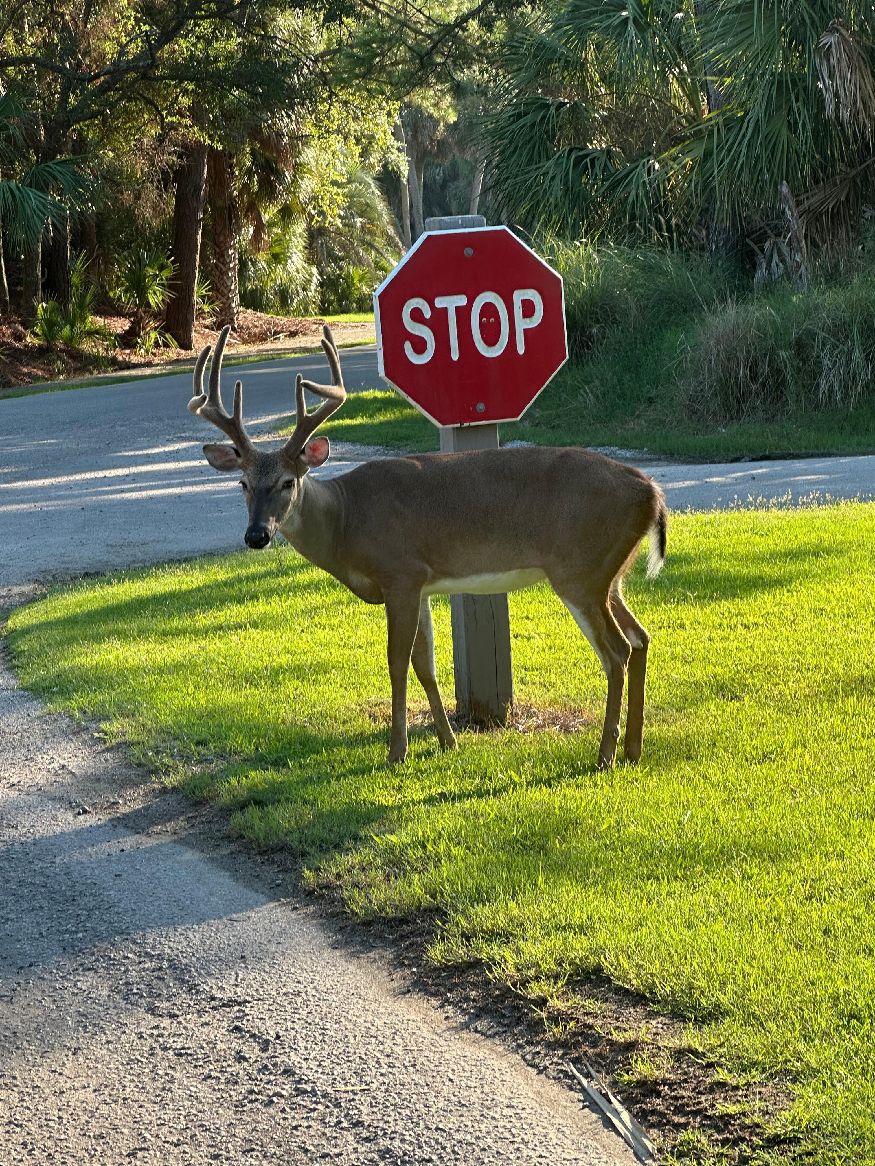 The Littles loved the visitor