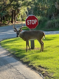 The Littles loved the visitor