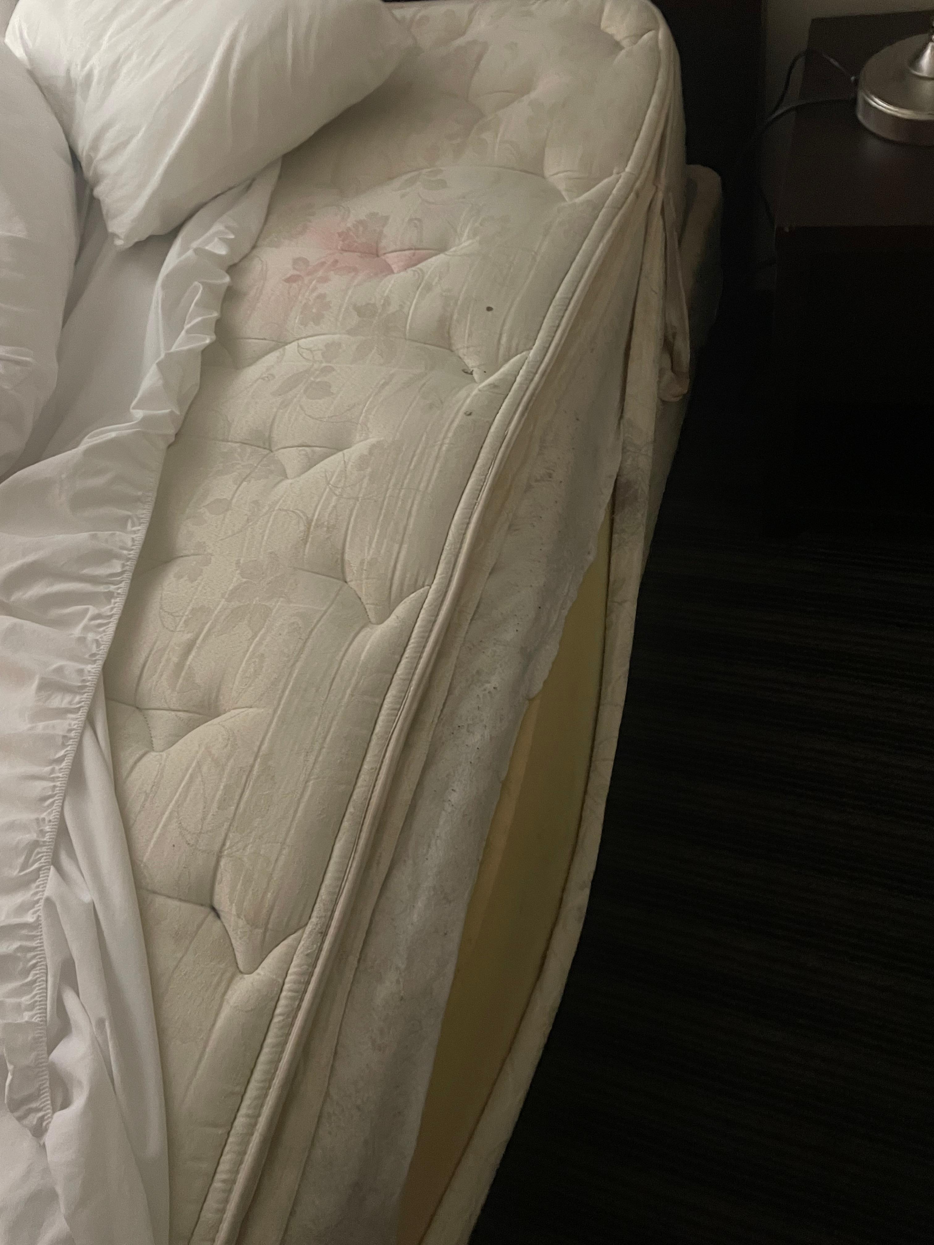 Filthy disintegrating mattress. Bedbugs?