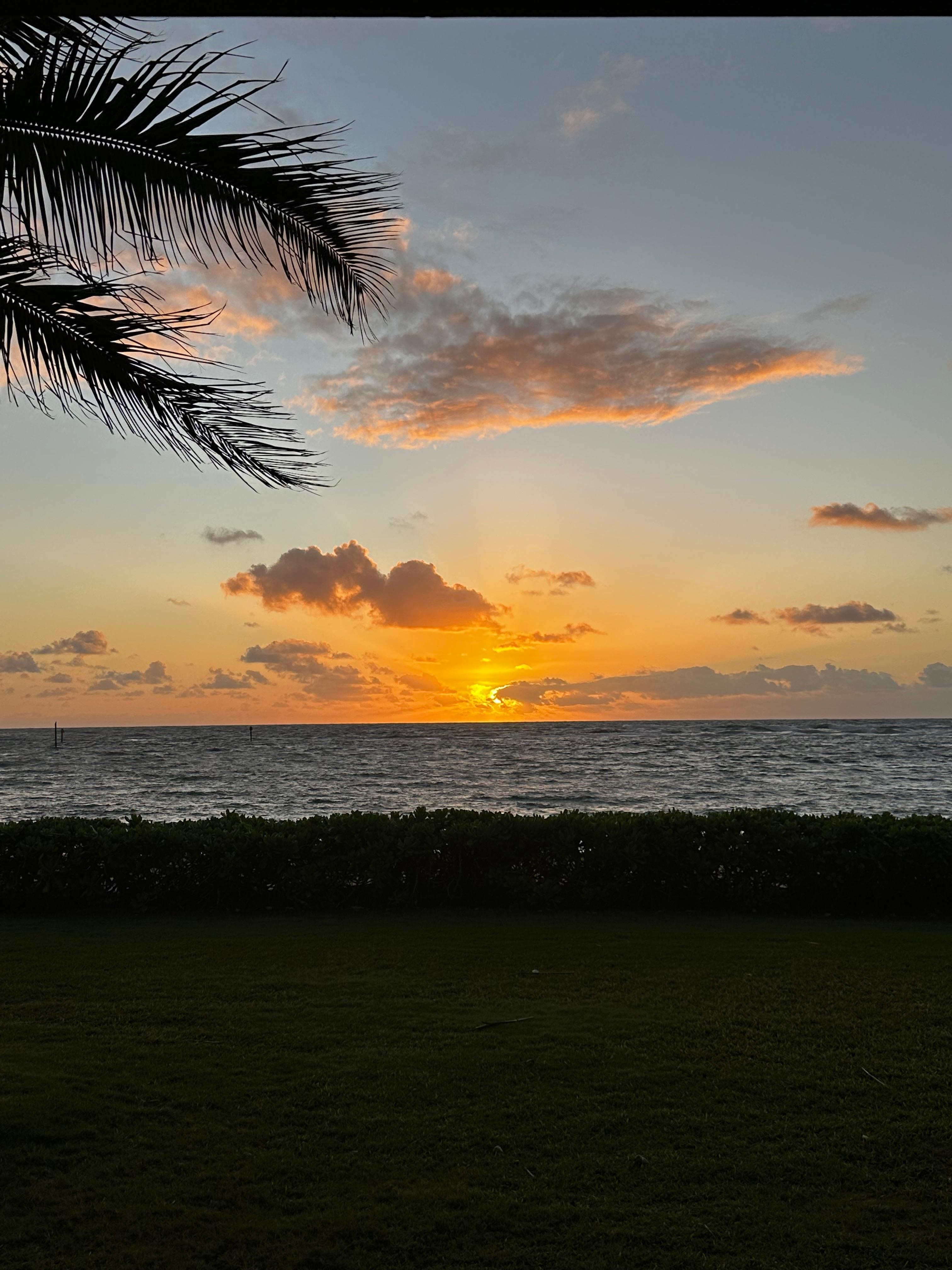 Sun rise, no sun sets due to location 