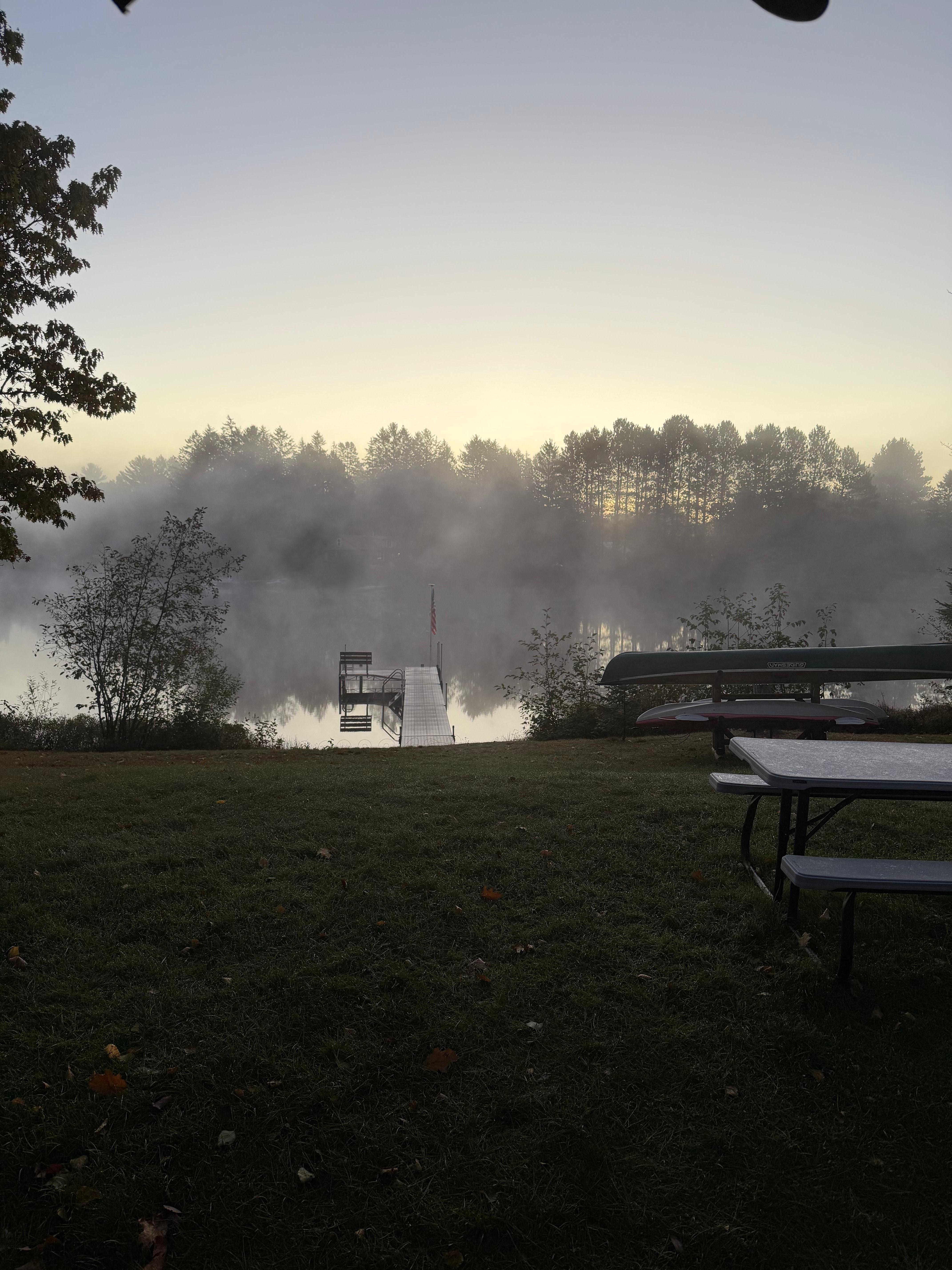 View looking out from the living room. 