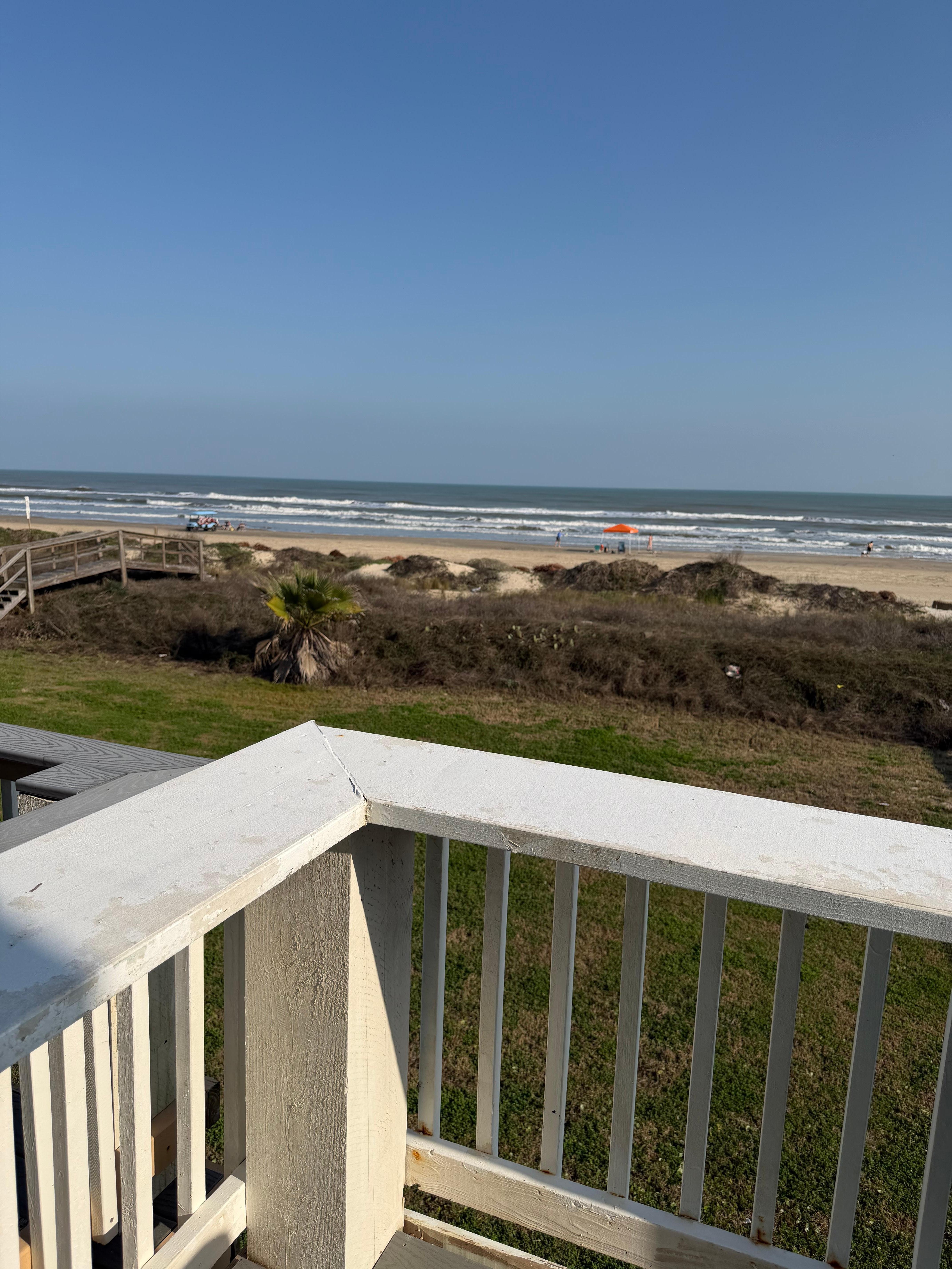 View from where I was sitting on the back patio