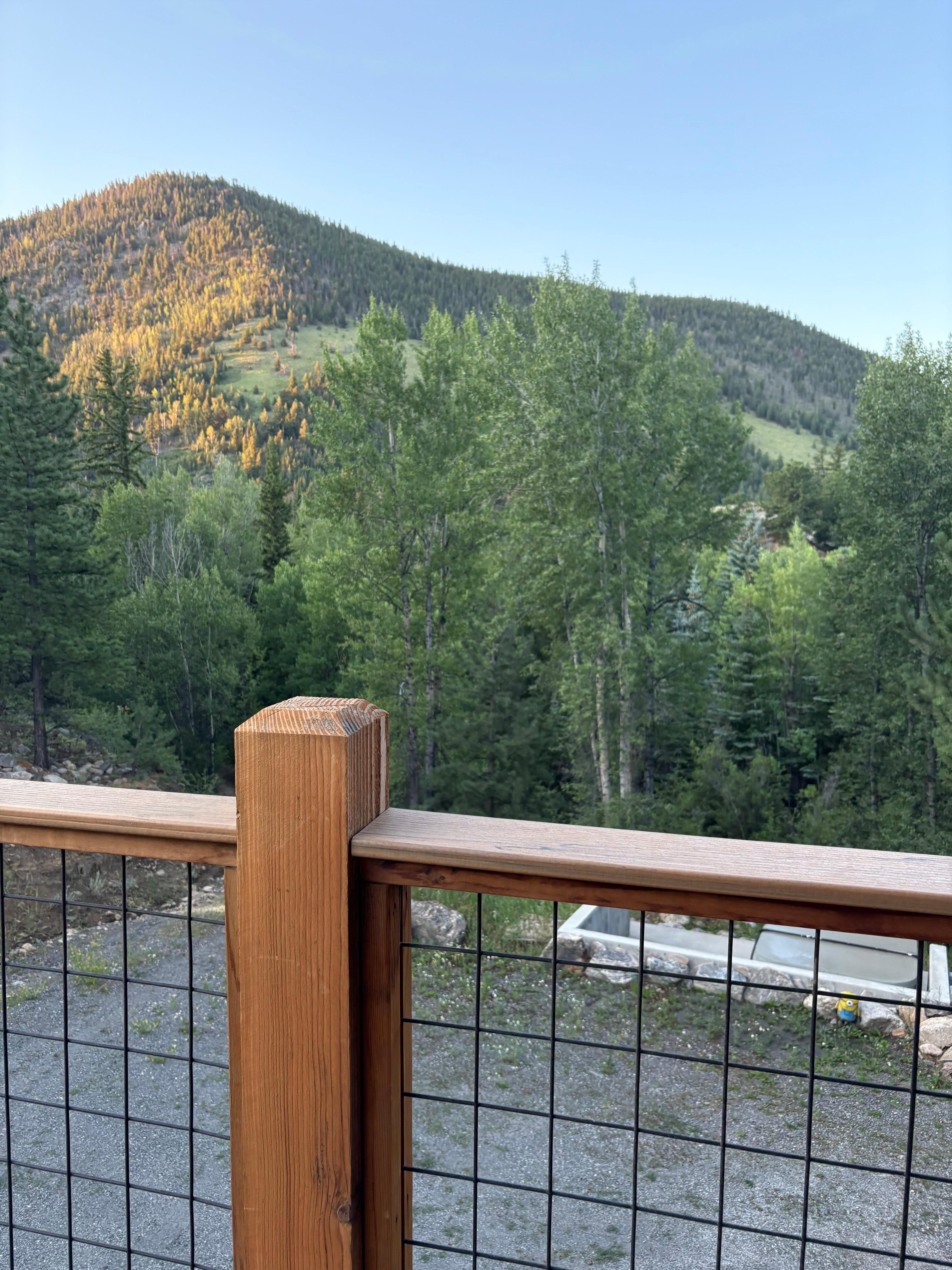 Relaxing on the porch