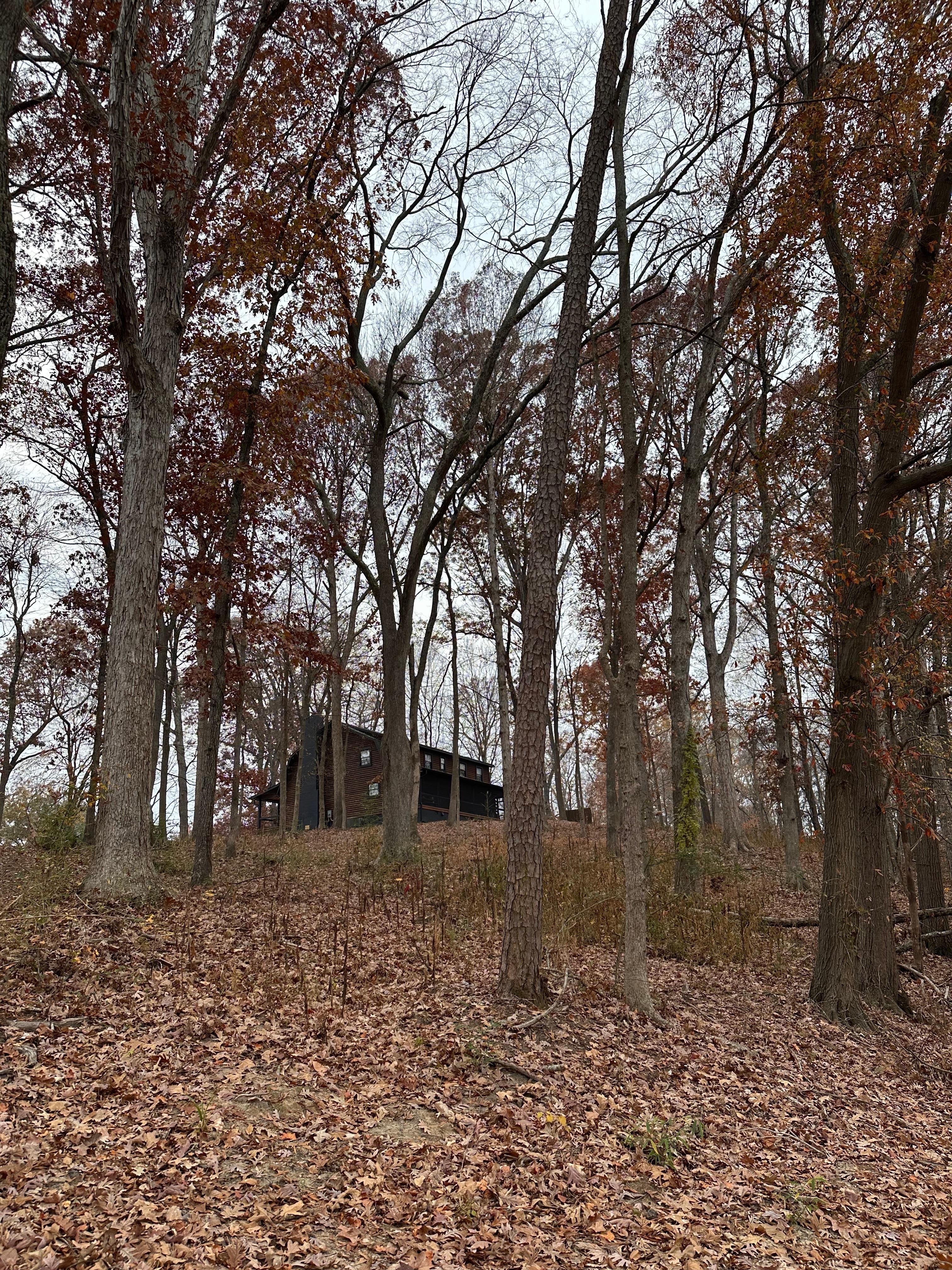 Looking up from the dock