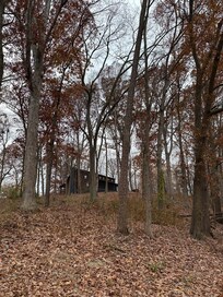 Looking up from the dock