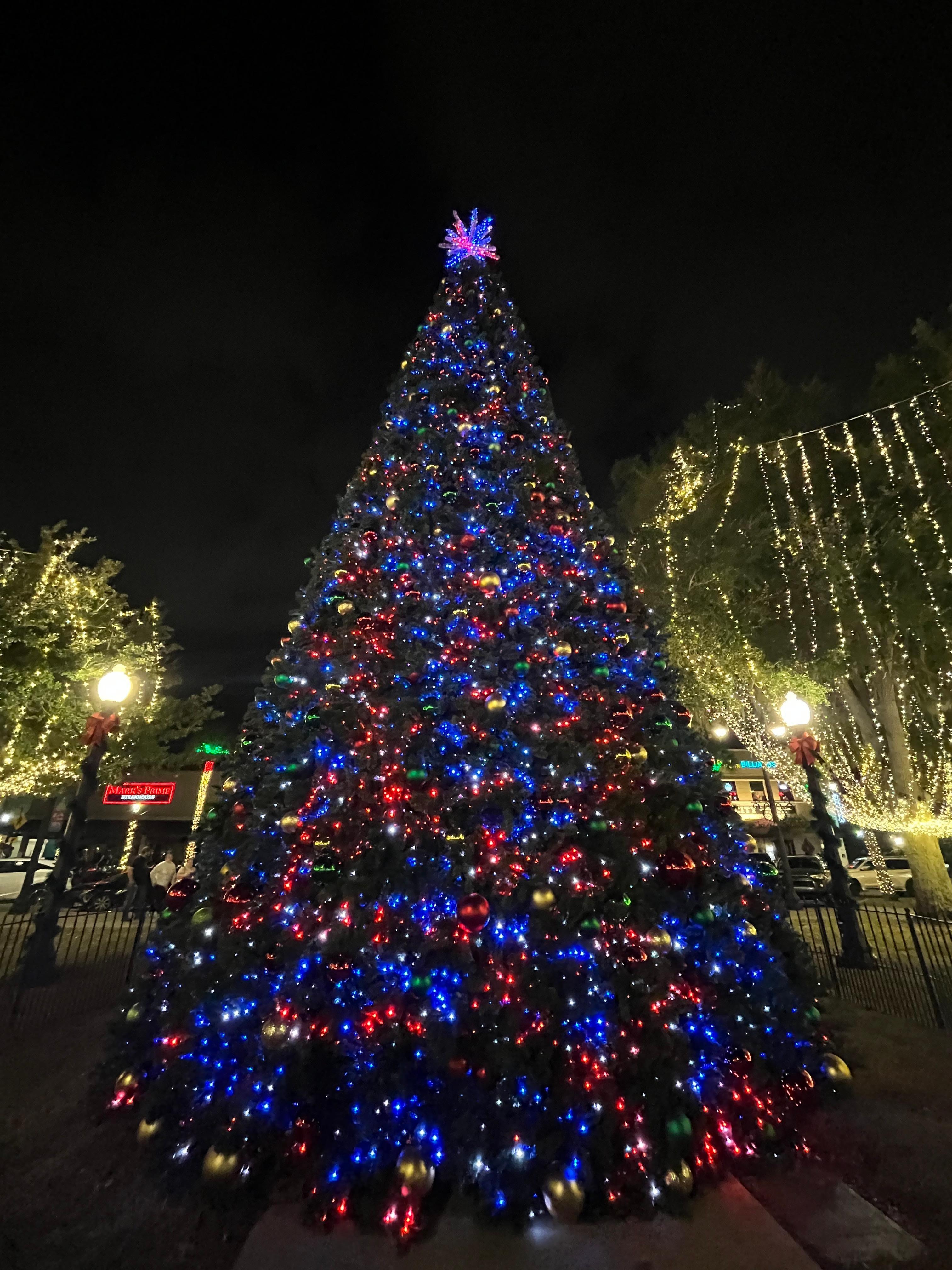 Ocala Christmas lights.