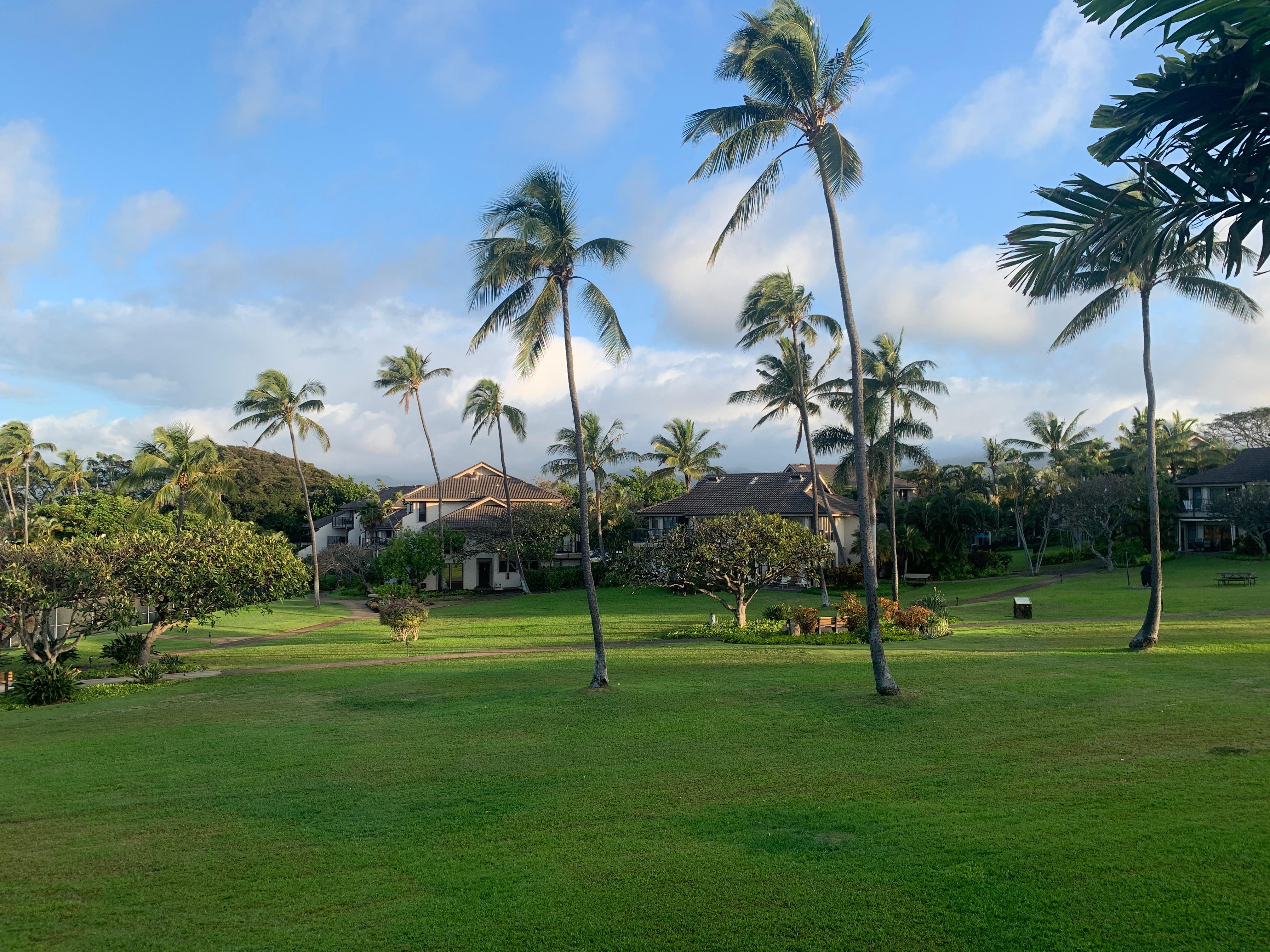 Beautiful well kept grounds 