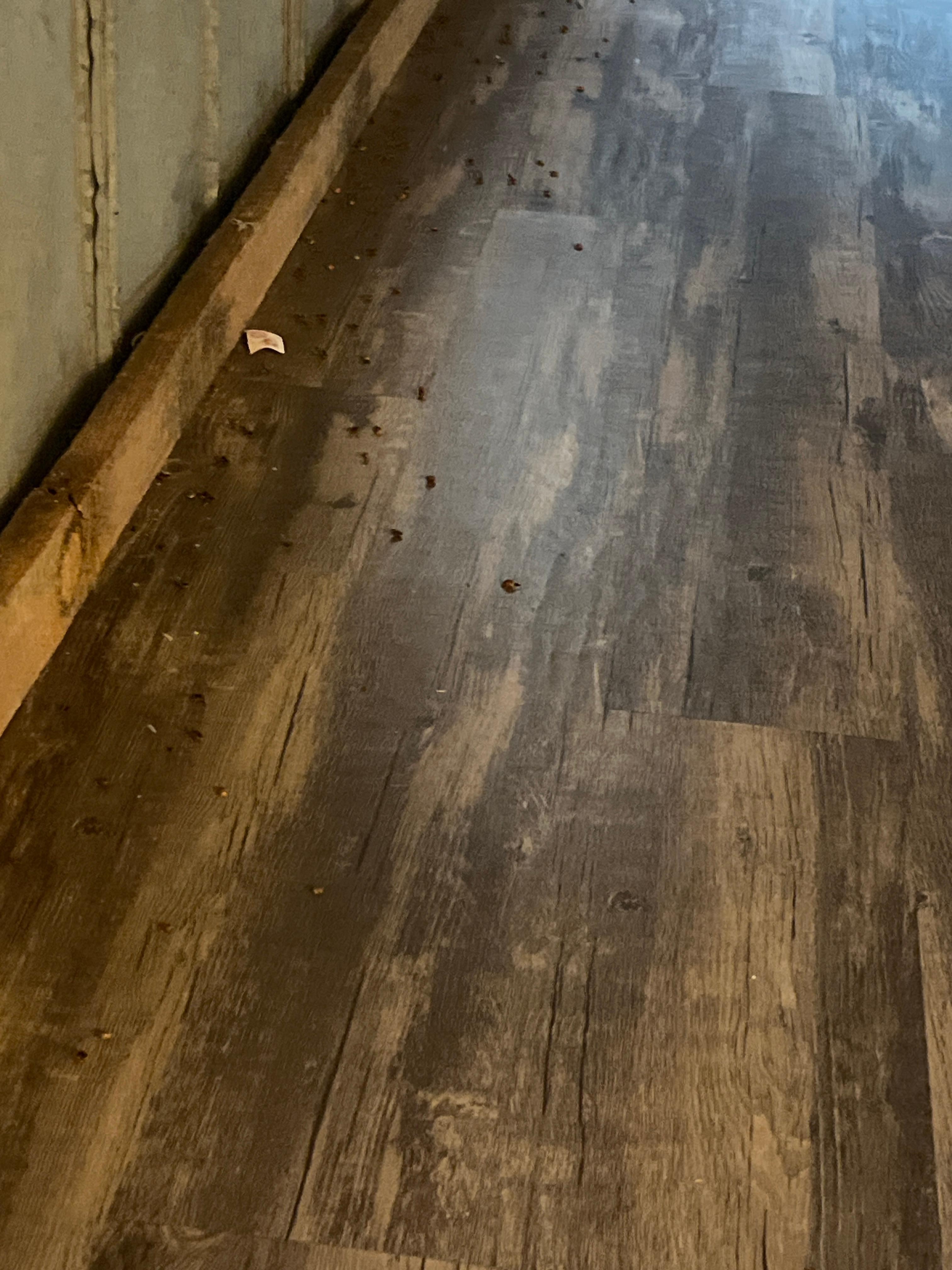 This place hasnt been touched in months