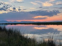 Bear River Migratory Bird Refuge