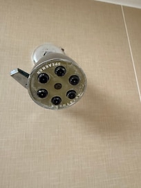 Mold on the shower head