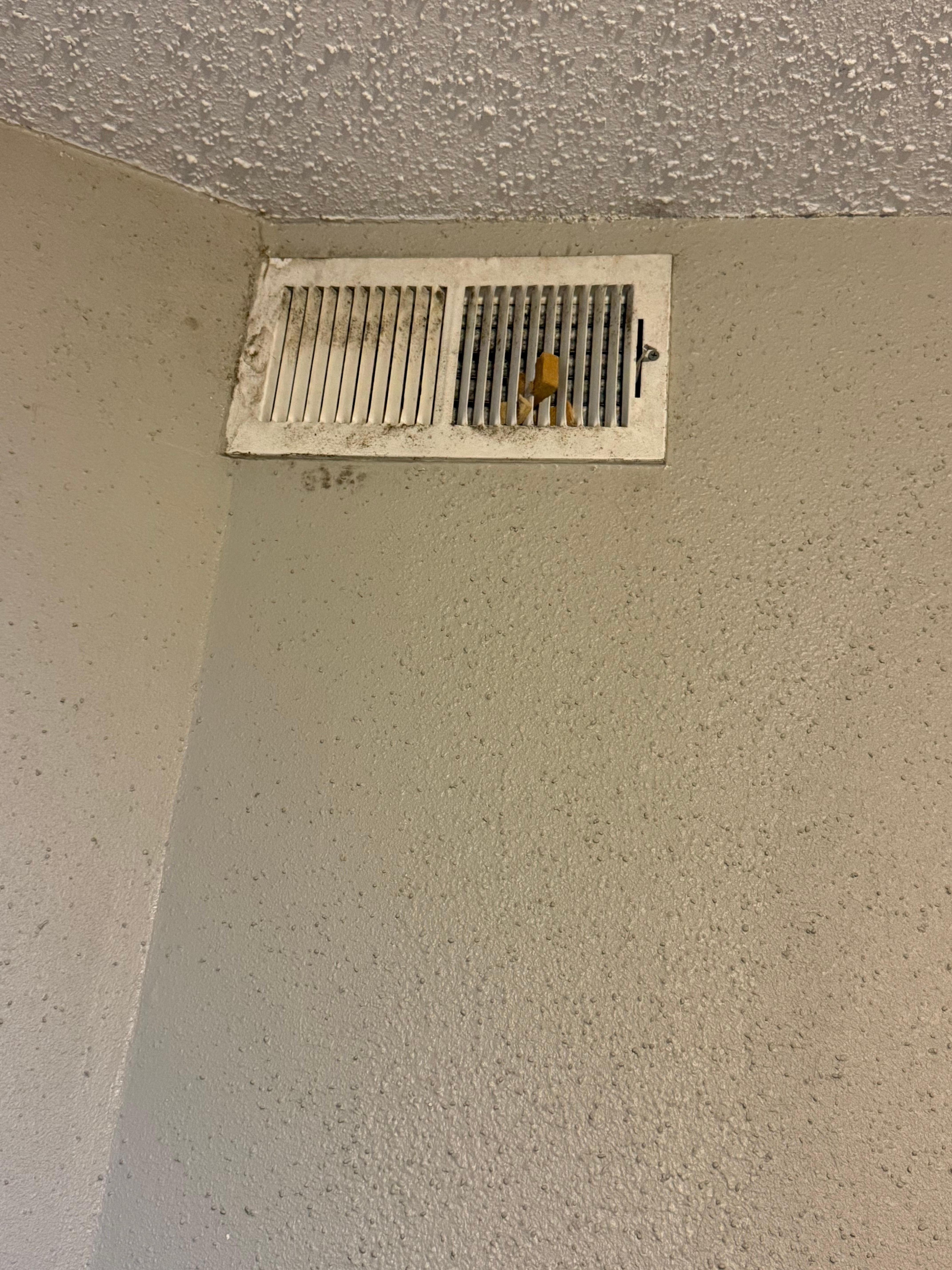Mold in vent
