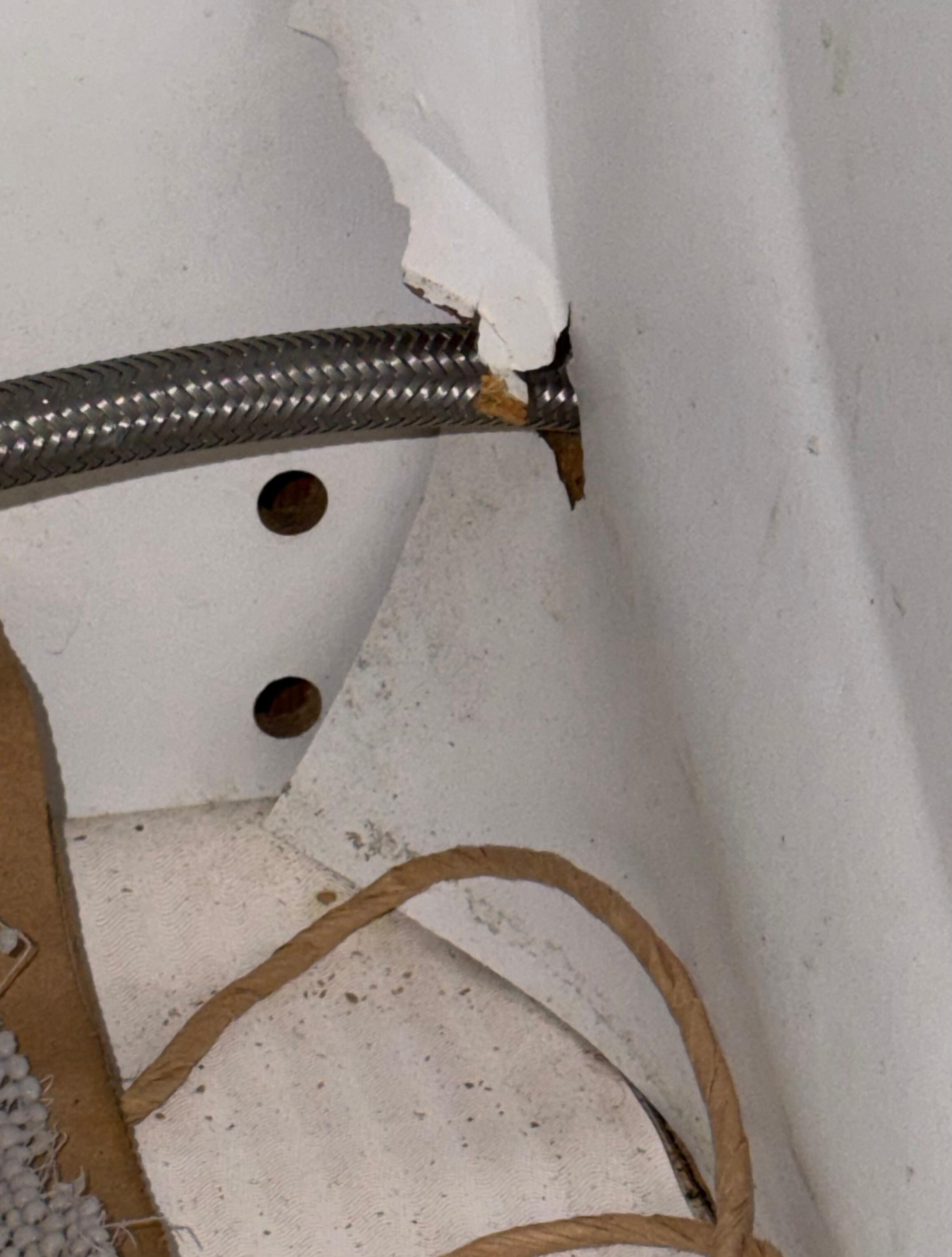 Old pest trap we found under kitchen sink next to more droppings. 