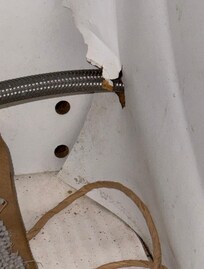 Old pest trap we found under kitchen sink next to more droppings.