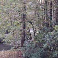 View from deck
