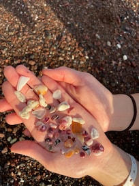 Beach treasures