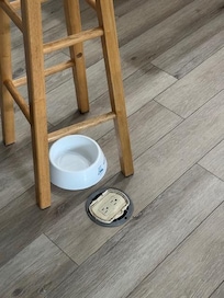 electrical outlet not flush to floor or covered - tripping hazard