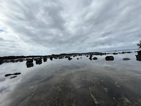Chalks Beach