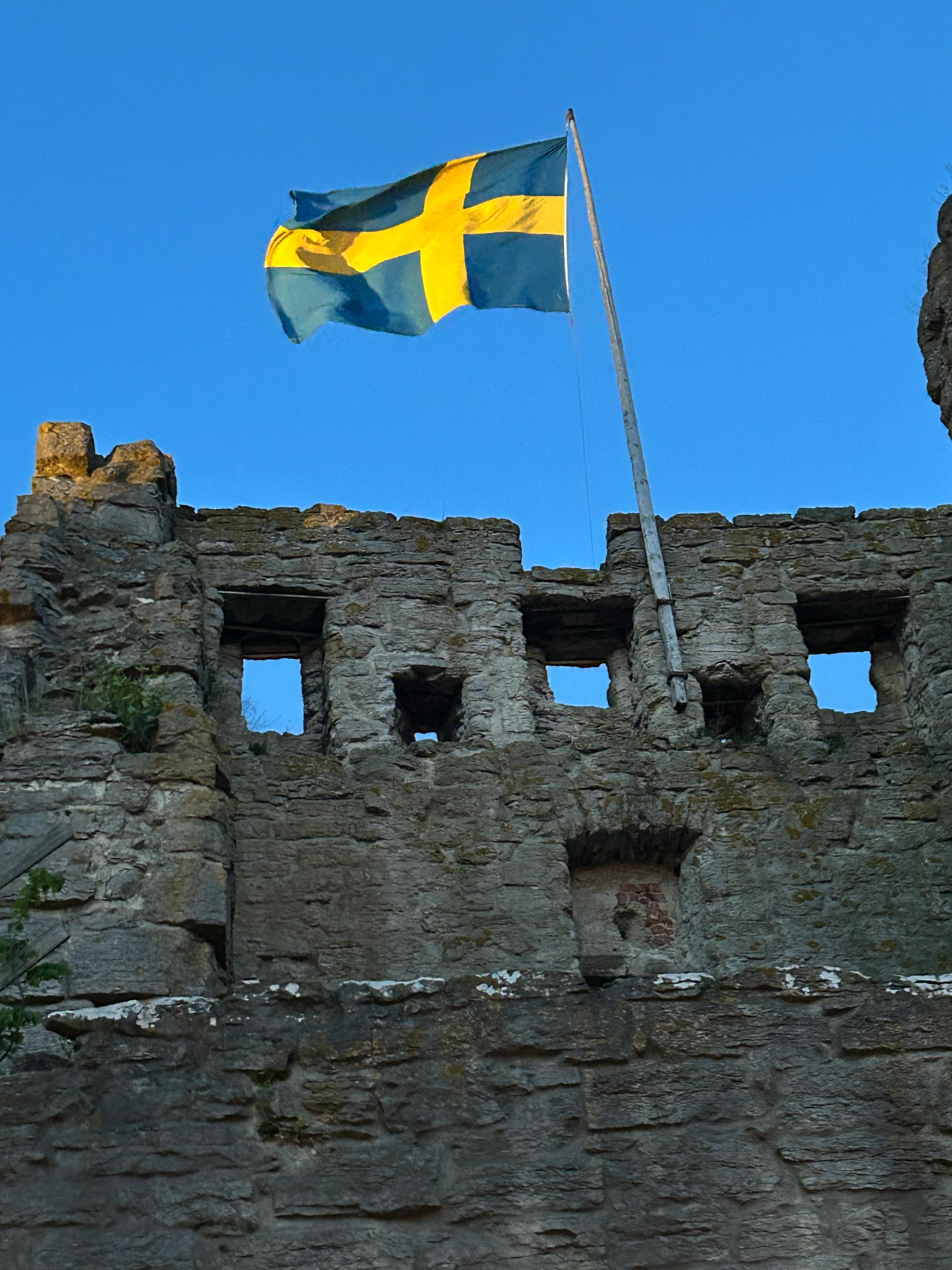 Sveriges nationaldag 
