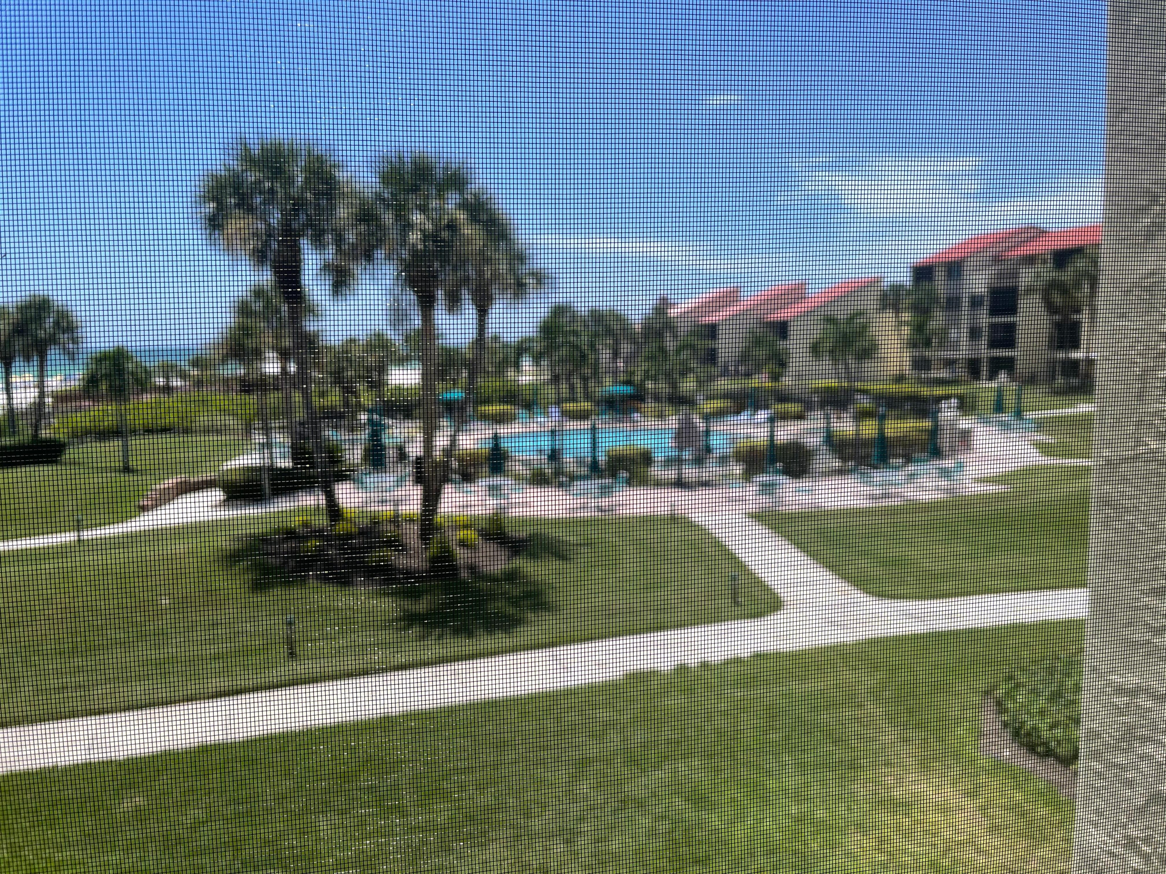 View from the screened patio