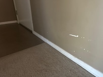 Apartment wall (paint)