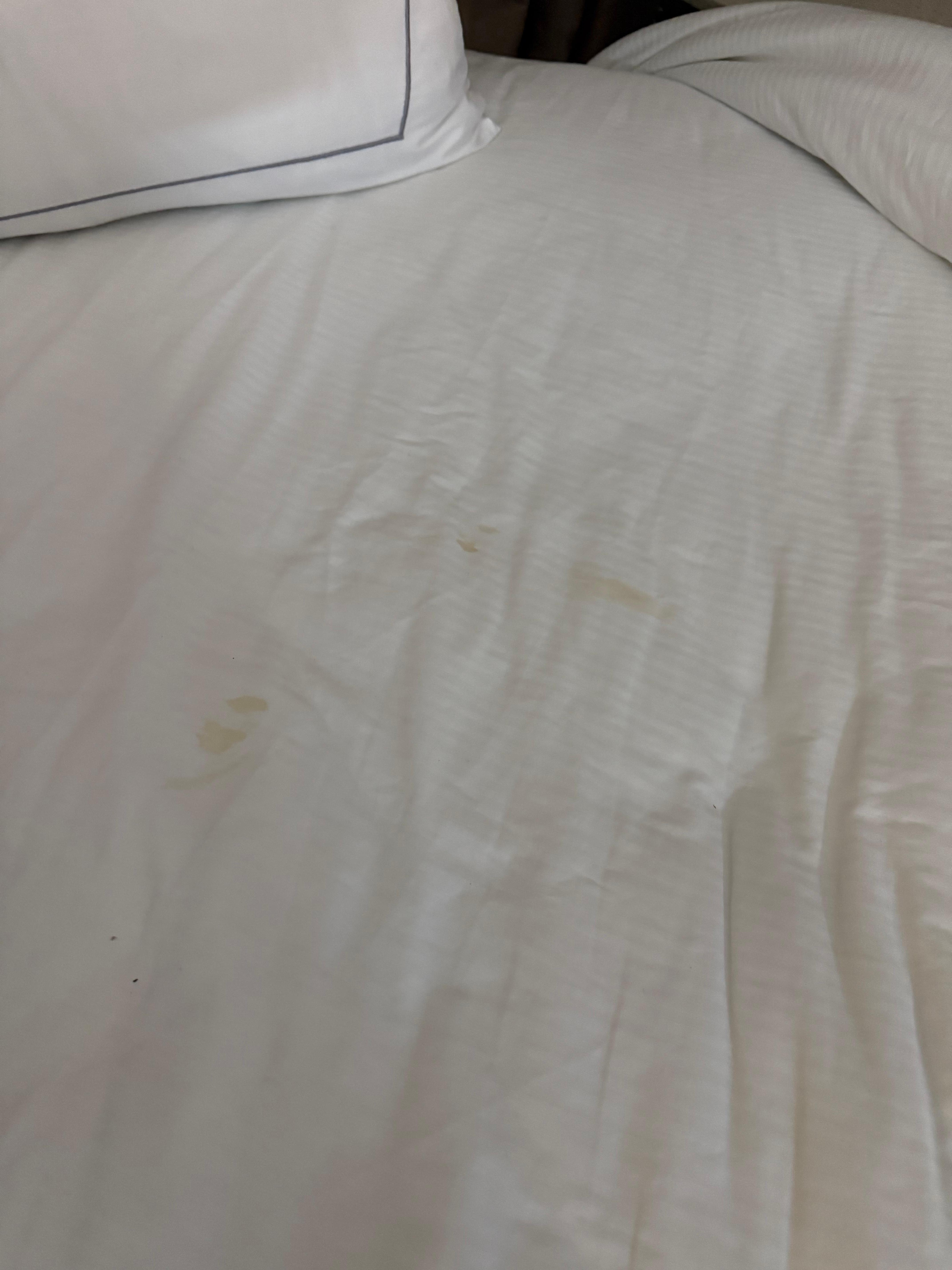 These pictures were taken at 12:49pm as we left for the day