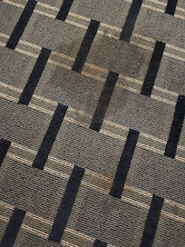 These carpet stains are EVERYWHERE