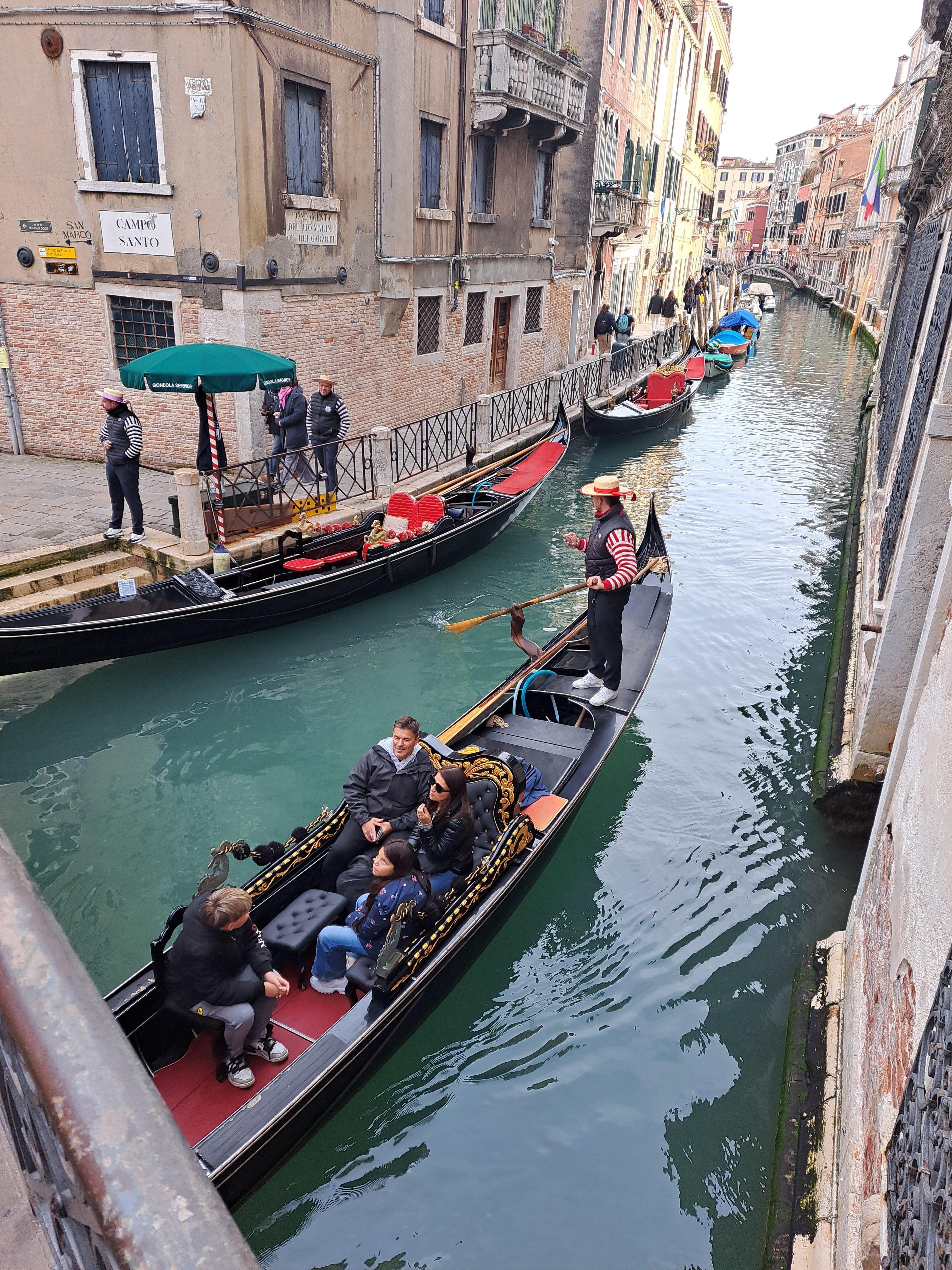 From the kitchen window !