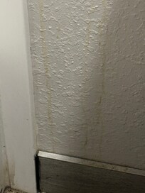 The wall in the bathroom.