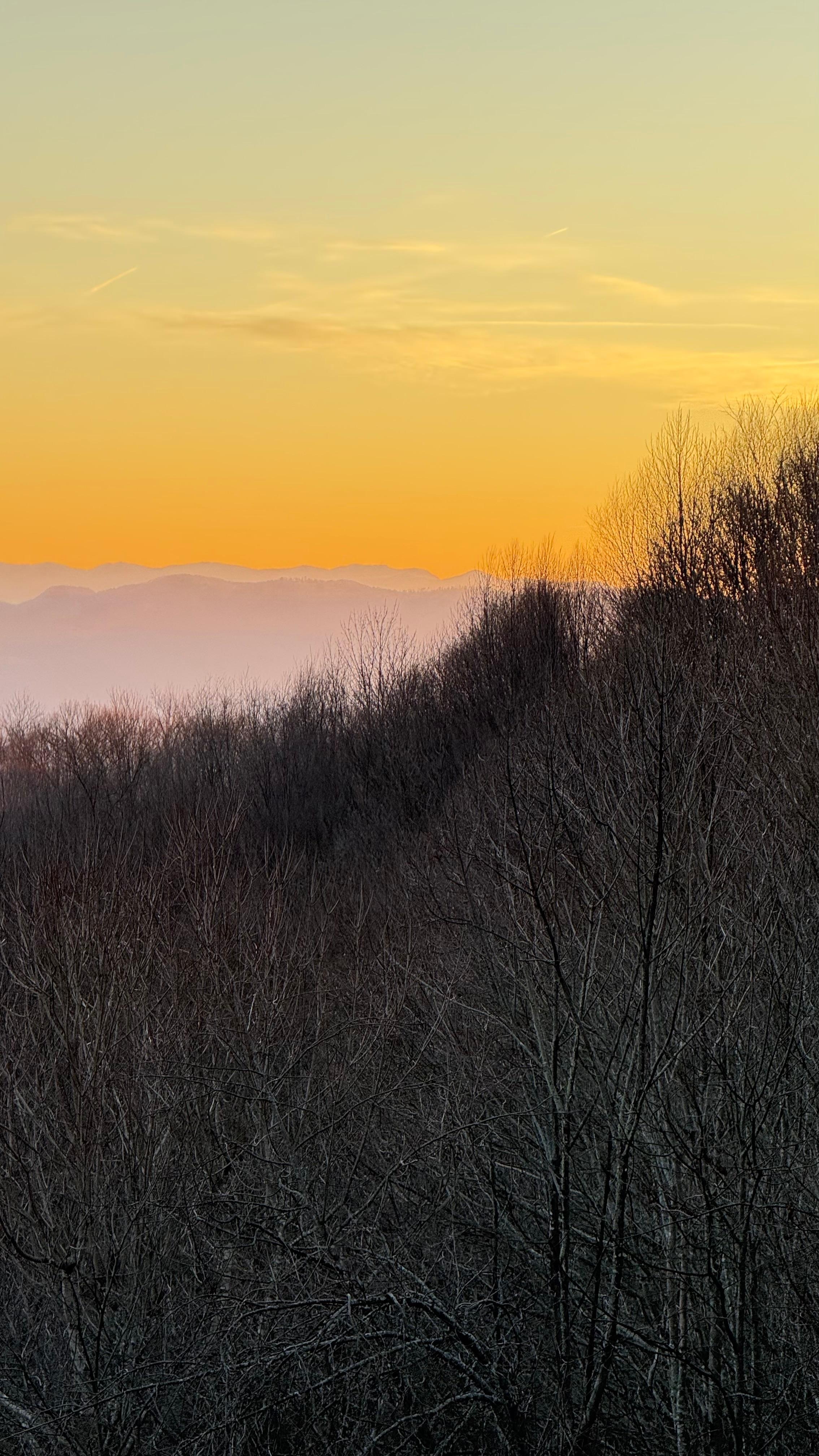 View from living room