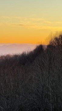 View from living room