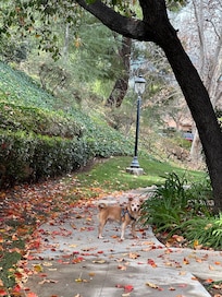 Plenty of walking paths.