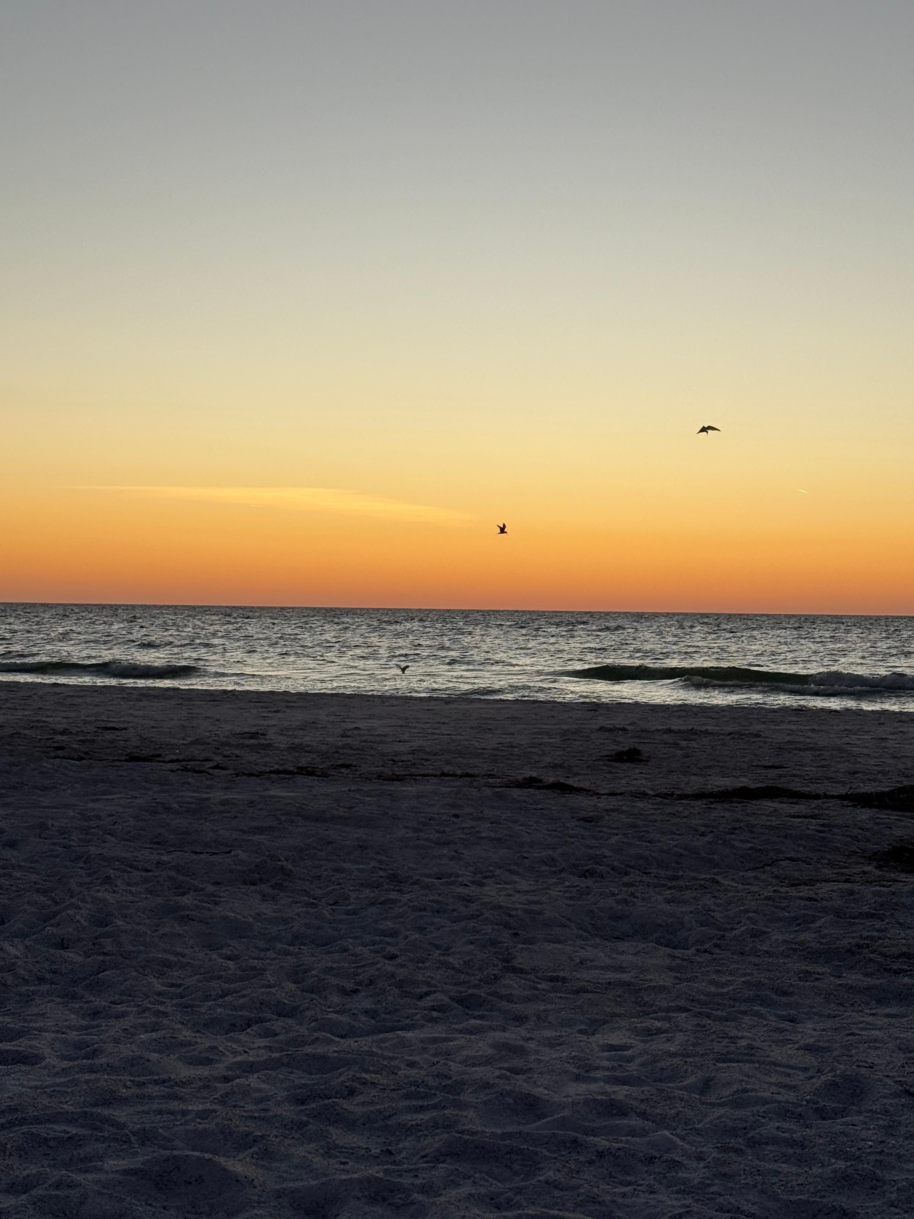 Beautiful sunset view from the balcony. 
