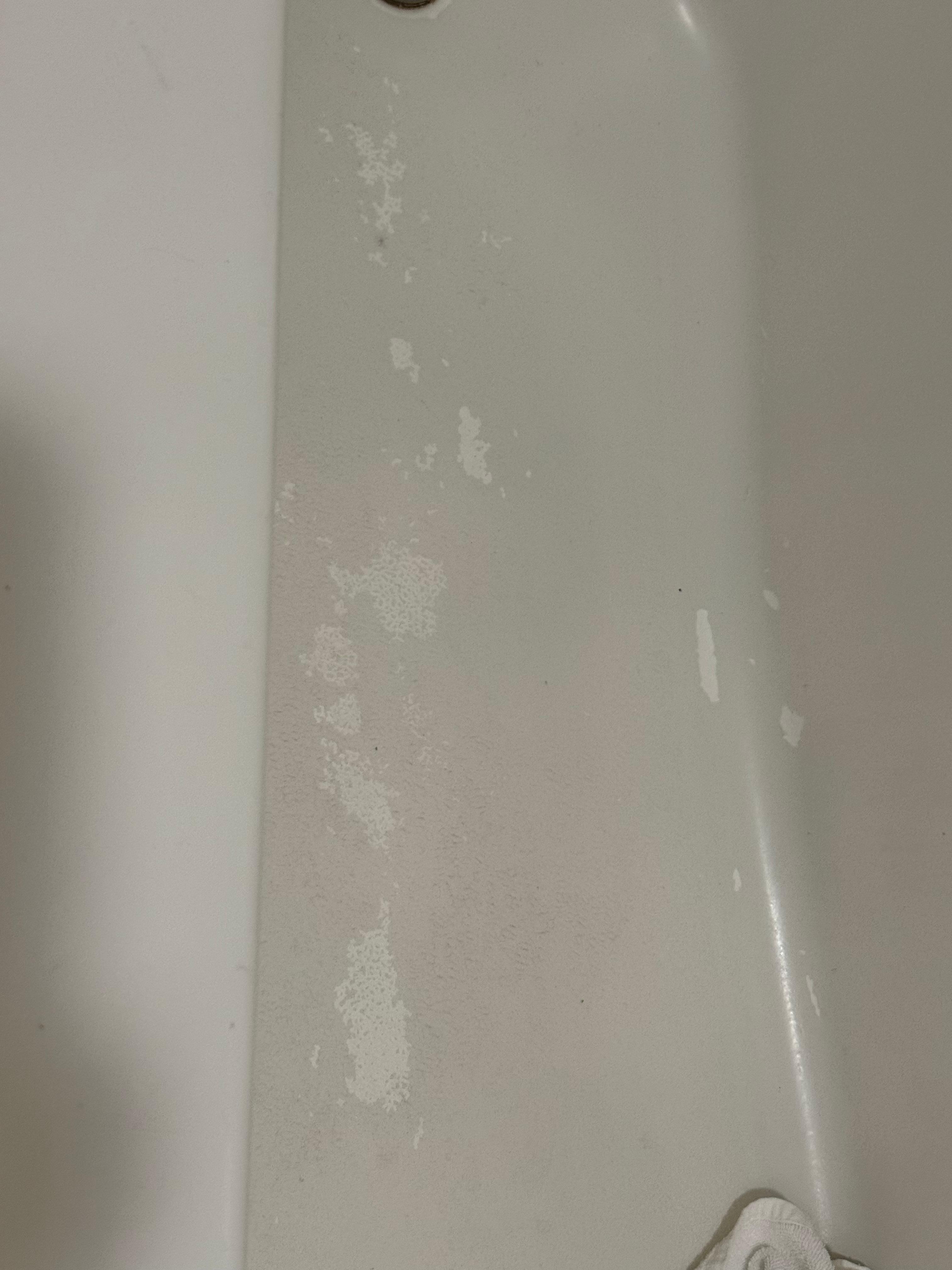 How disgusting the bathtub is 