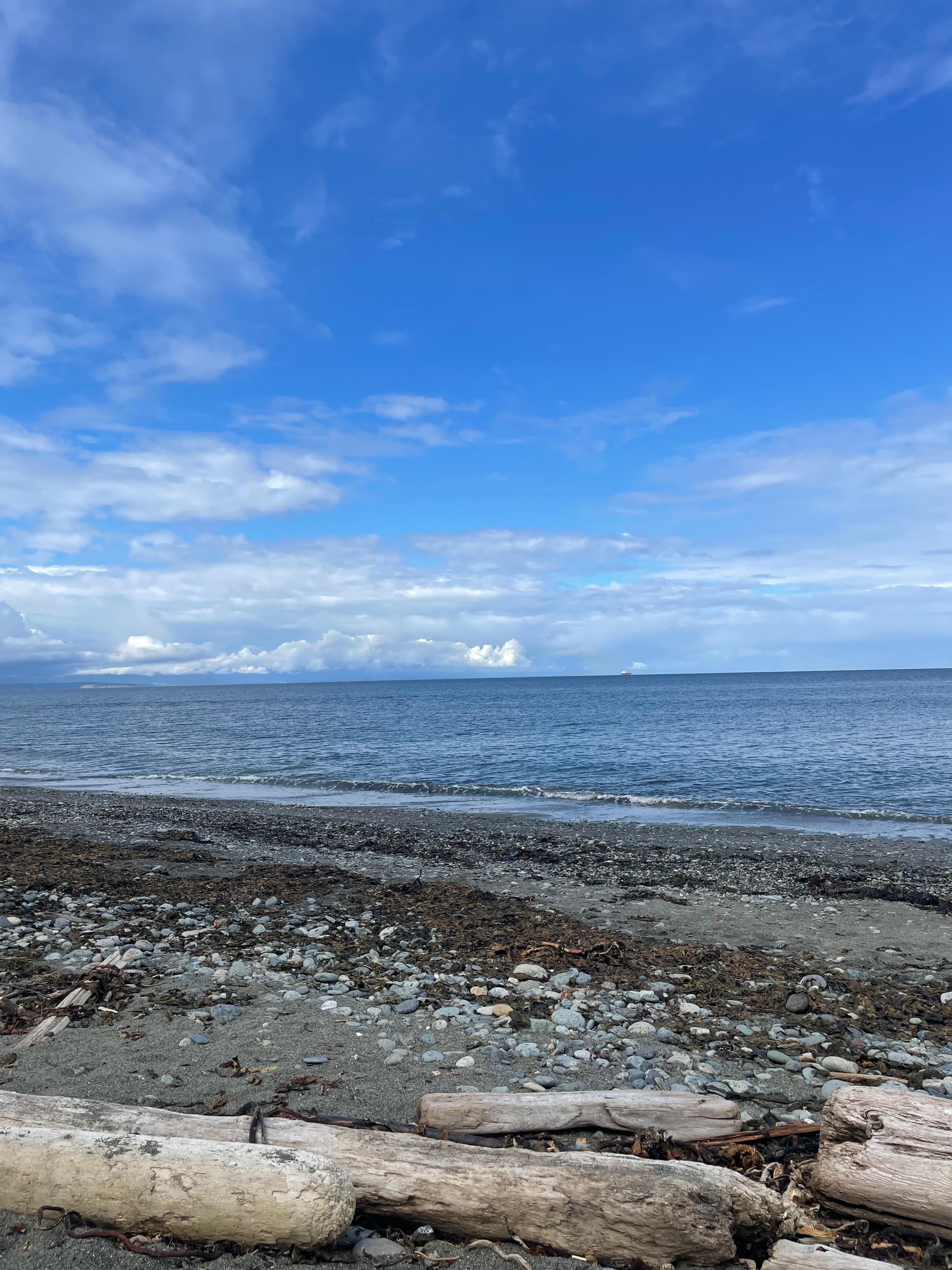 Fort Ebey beach