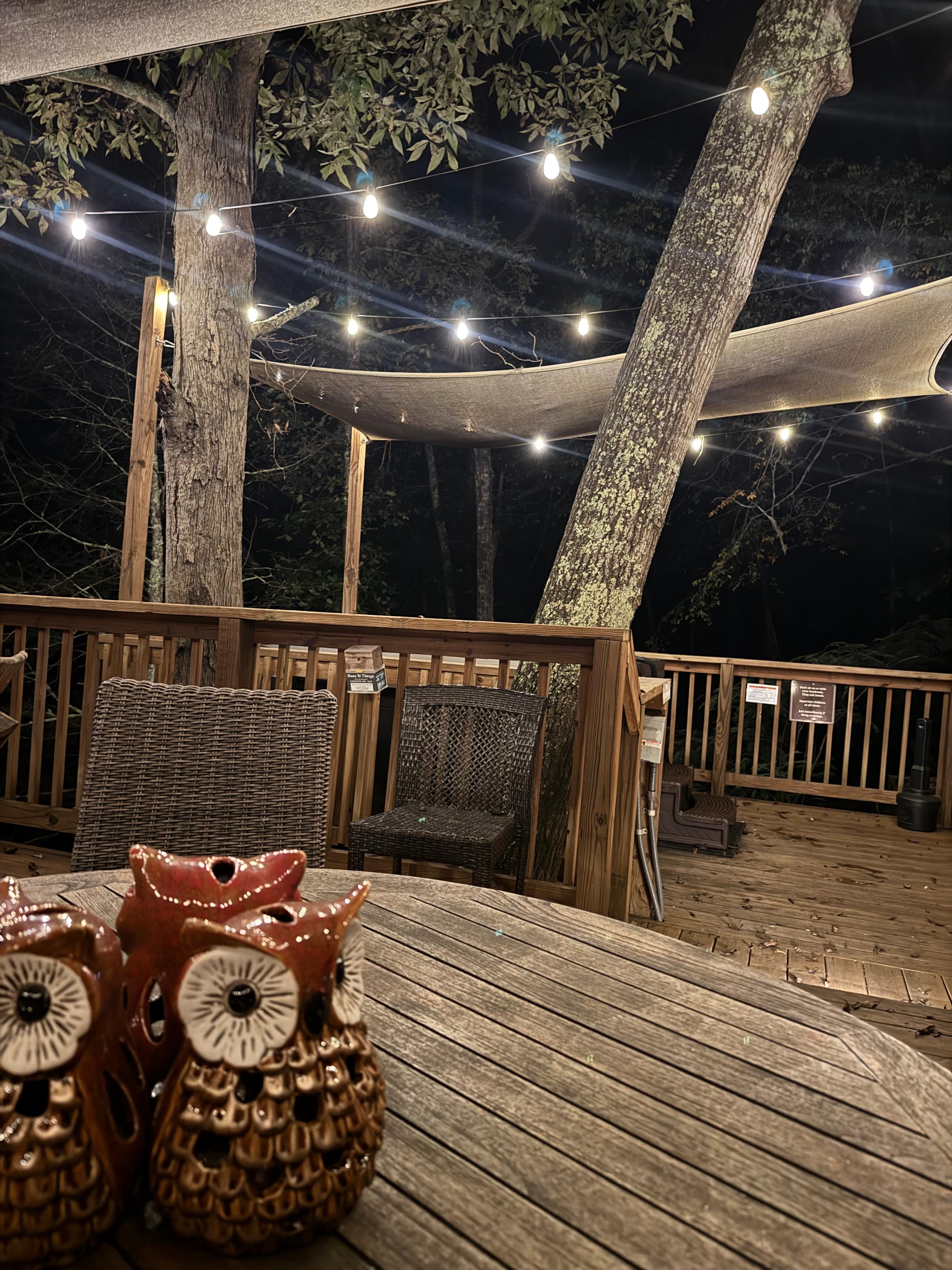 The beautiful outside deck. Lights on at night. Amazing hot tub. 