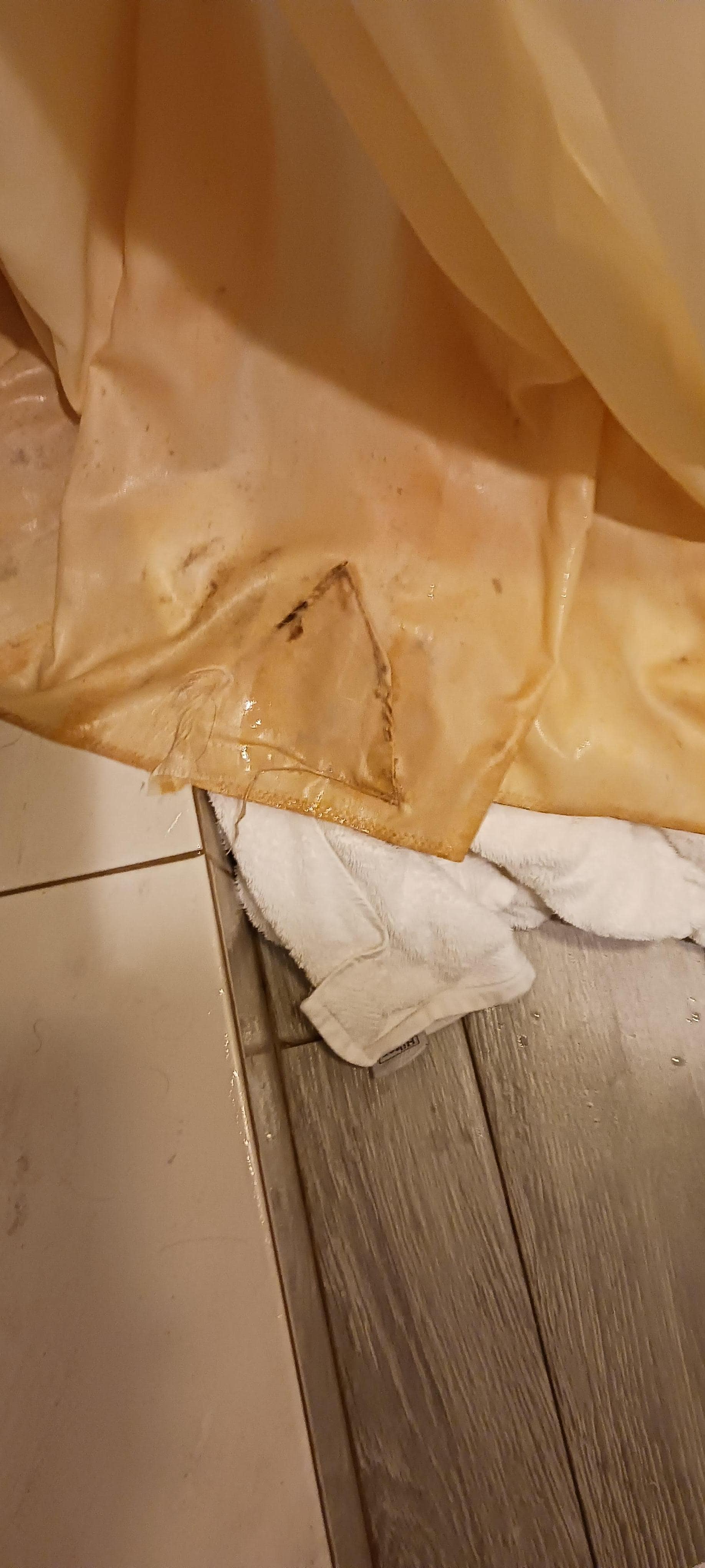 Shower curtain with black stain( mold?)