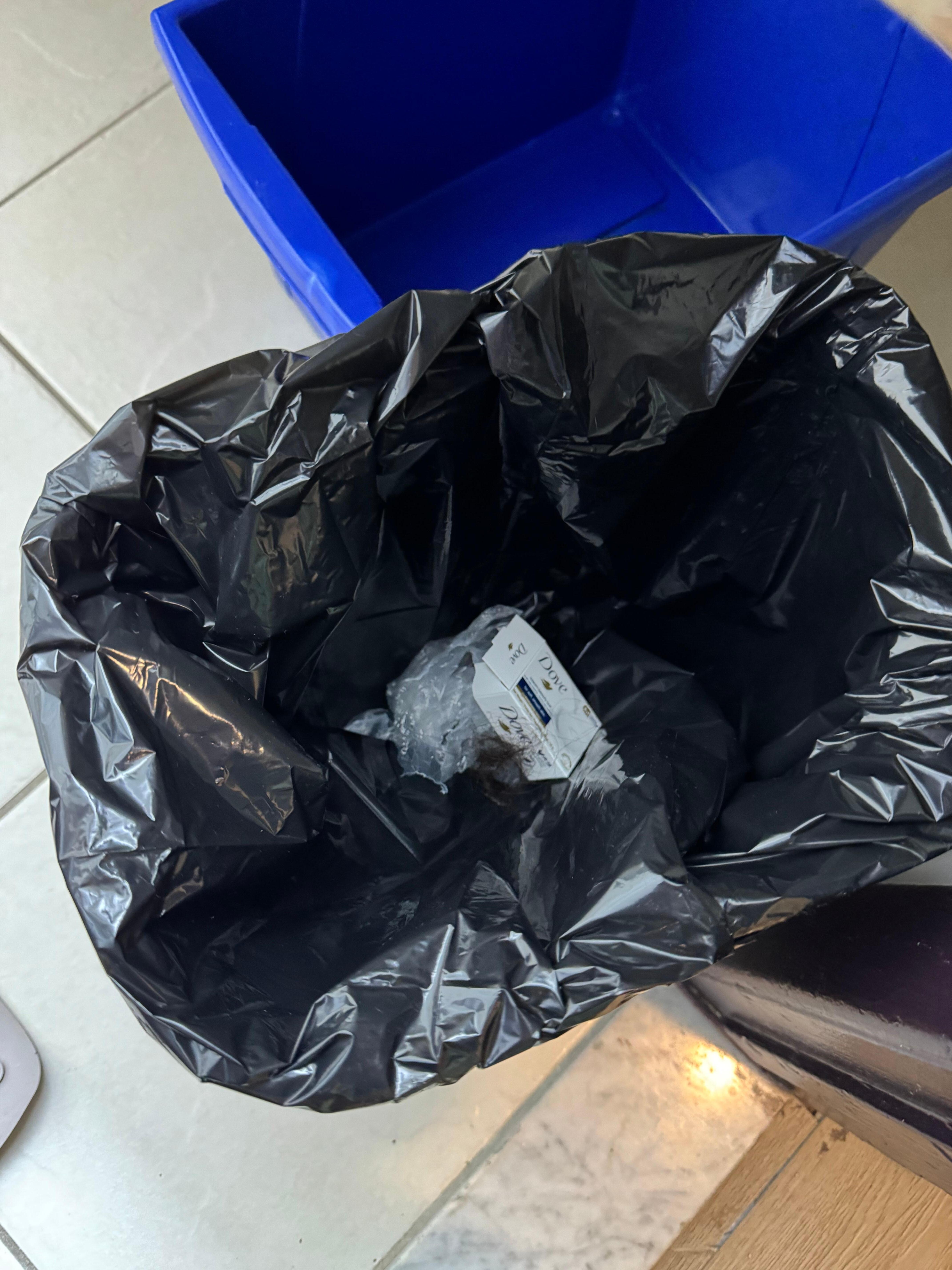 Empty soap box and hair in the bathroom garbage